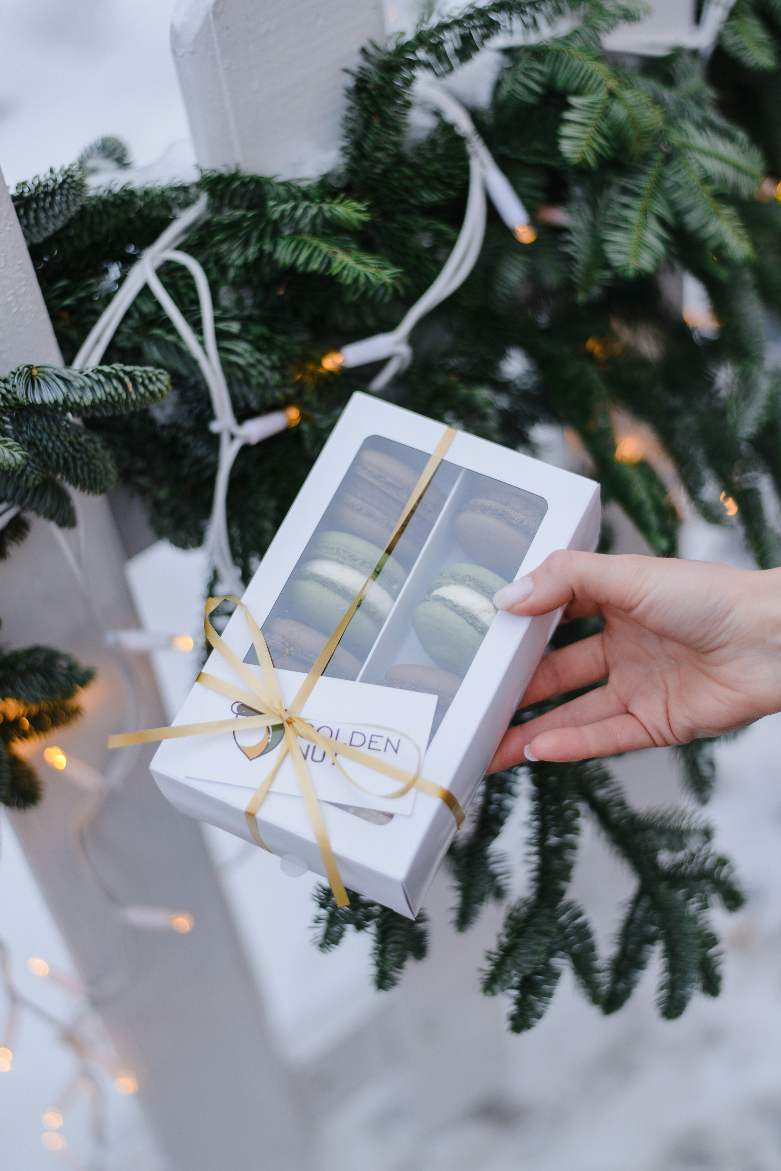 GOLDEN.NUT — Новогодняя коллекция. Фотограф Лопаткина Ирина