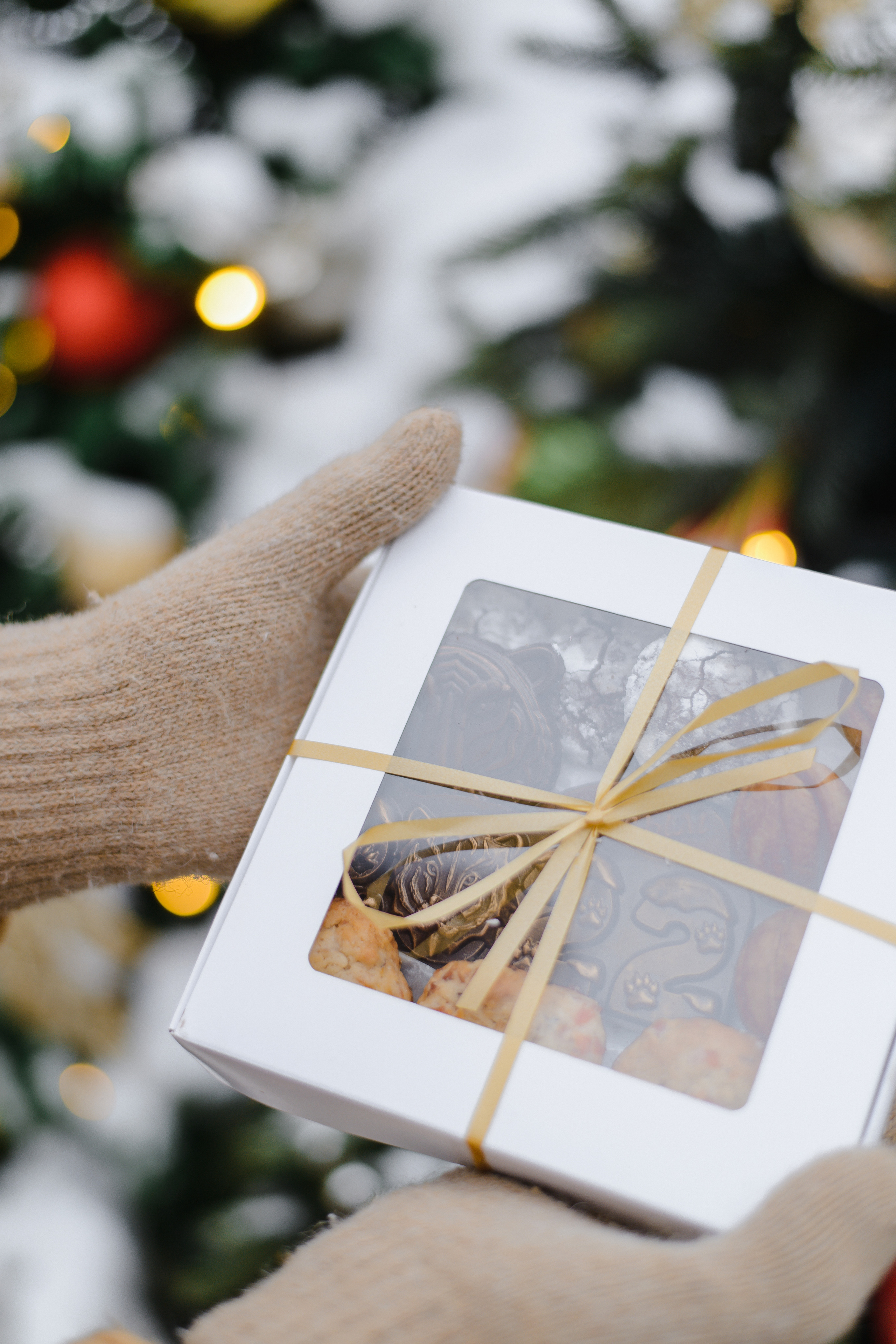 GOLDEN.NUT — Новогодняя коллекция. Фотограф Лопаткина Ирина