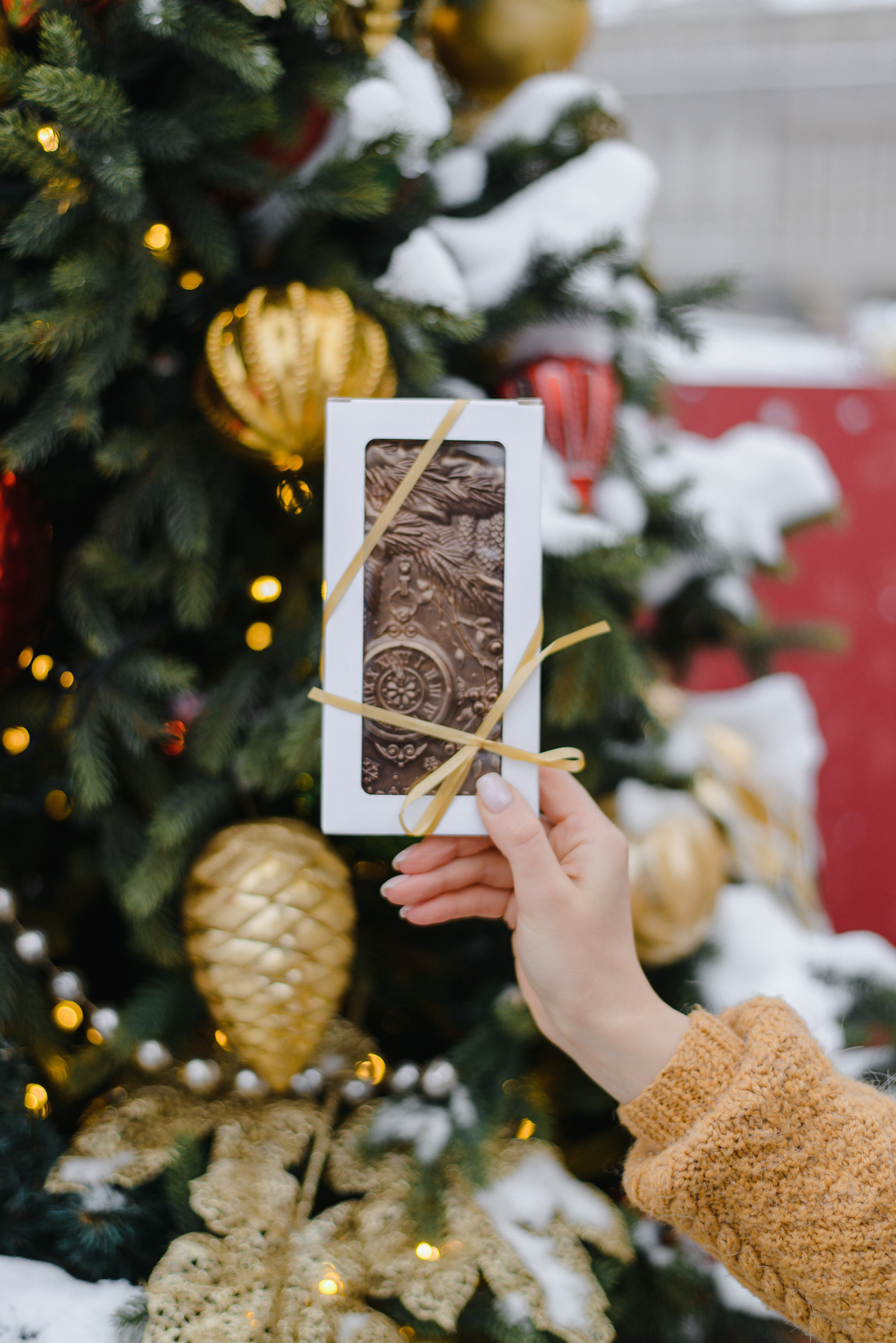 GOLDEN.NUT — Новогодняя коллекция. Фотограф Лопаткина Ирина