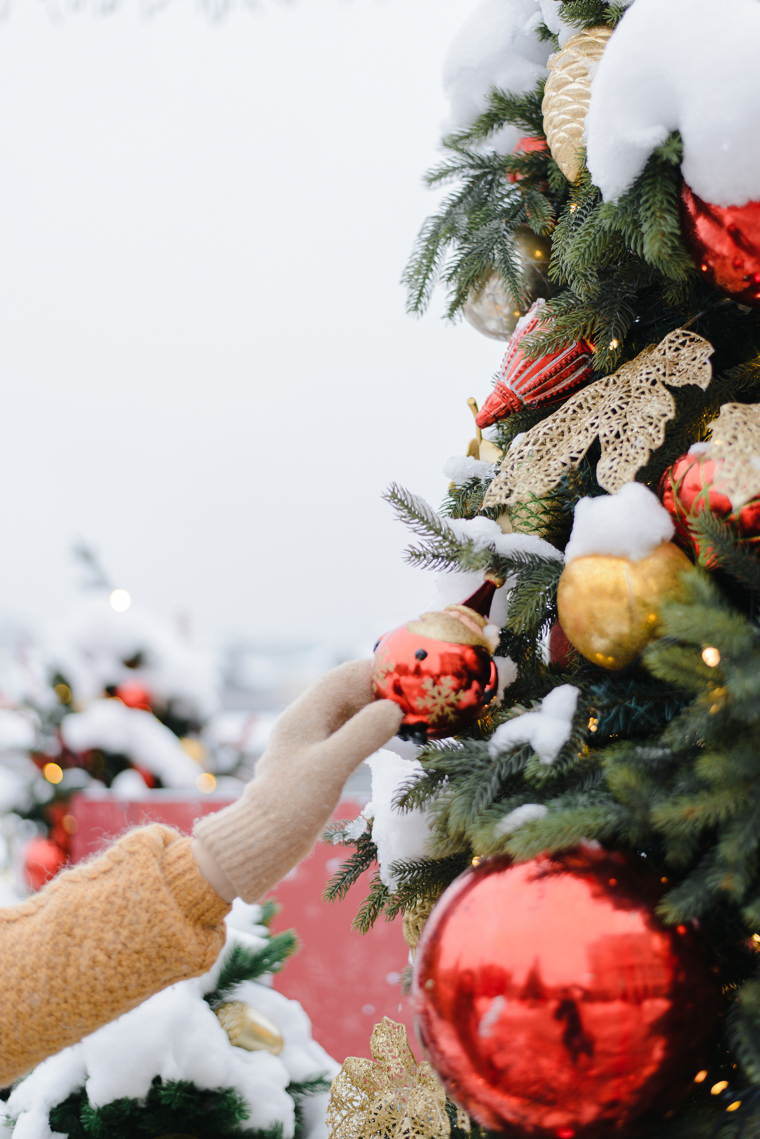 GOLDEN.NUT — Новогодняя коллекция. Фотограф Лопаткина Ирина