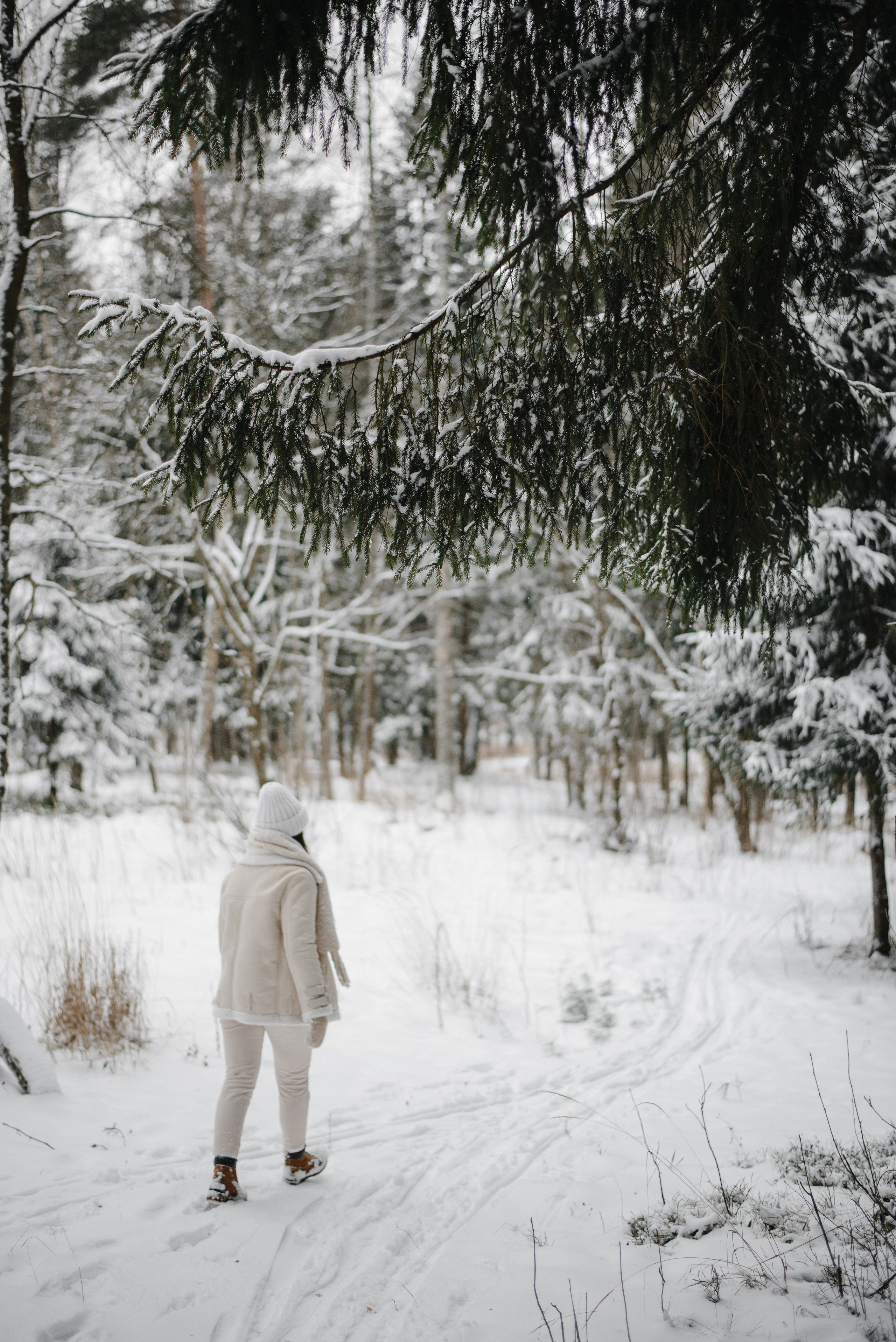 ФотосъемкА, фотосессия, портретная фотосессия, портрет, женский портрет, портретная фотосъемка, в лесу, весенняя съемка, весенняя фотосъемка, гармония с природой, лес, портреты, фотограф москва, подмосковье, фотограф подмосковье, ищу фотографа, съемка для себя, портретная съемка для себя