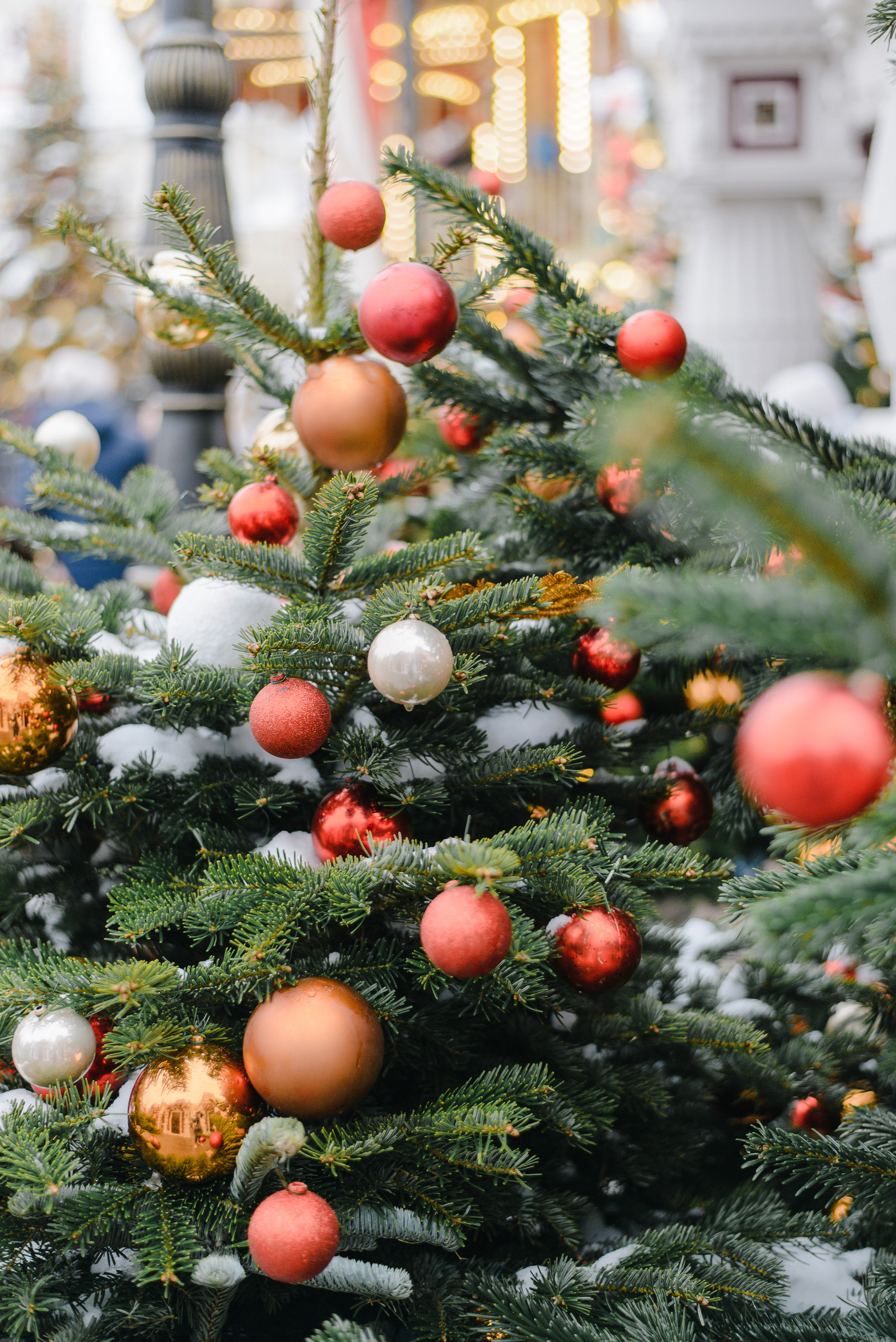 GOLDEN.NUT — Новогодняя коллекция. Фотограф Лопаткина Ирина