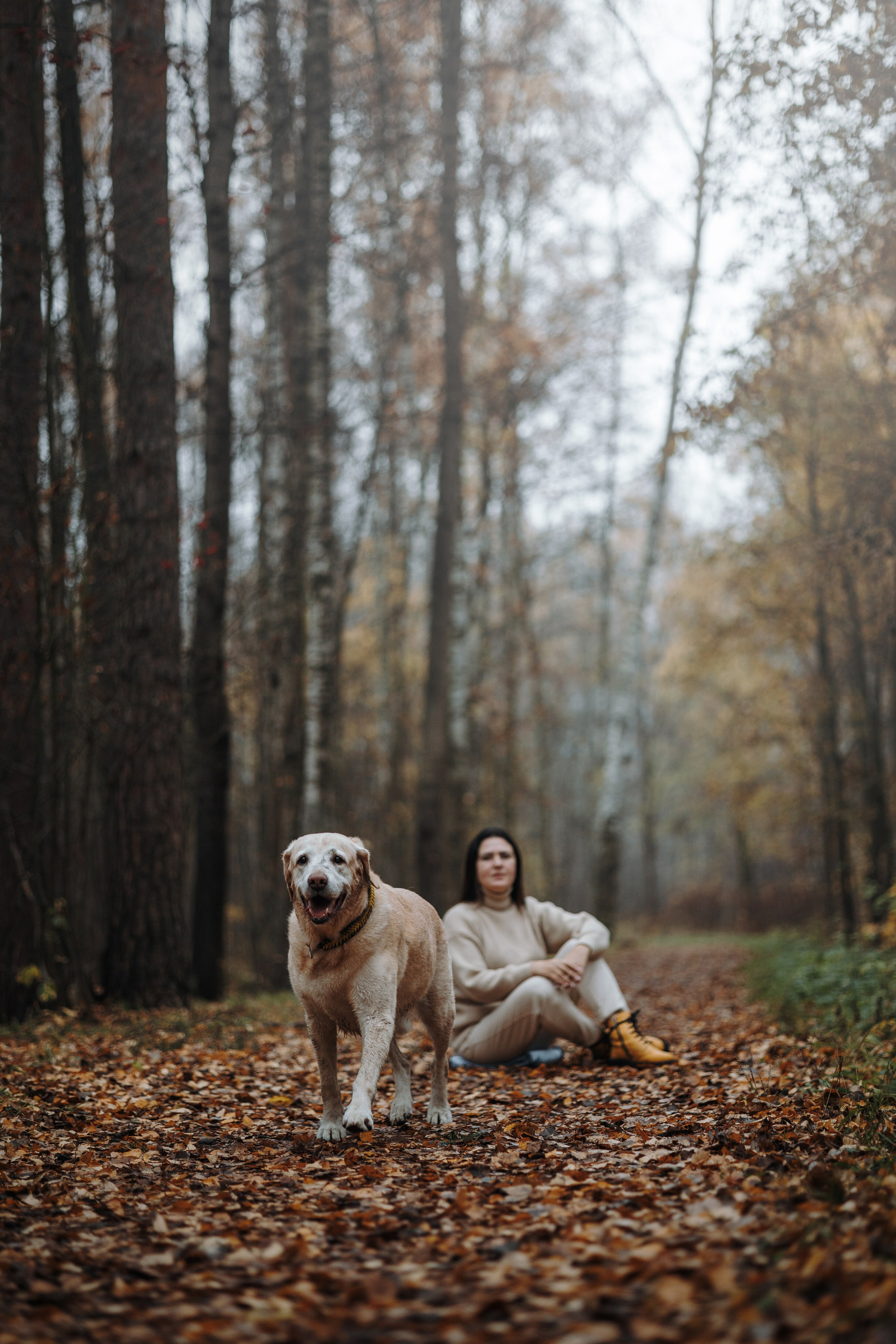 Оксана и Барон. Фотограф — Анималист | Санкт-Петербург
