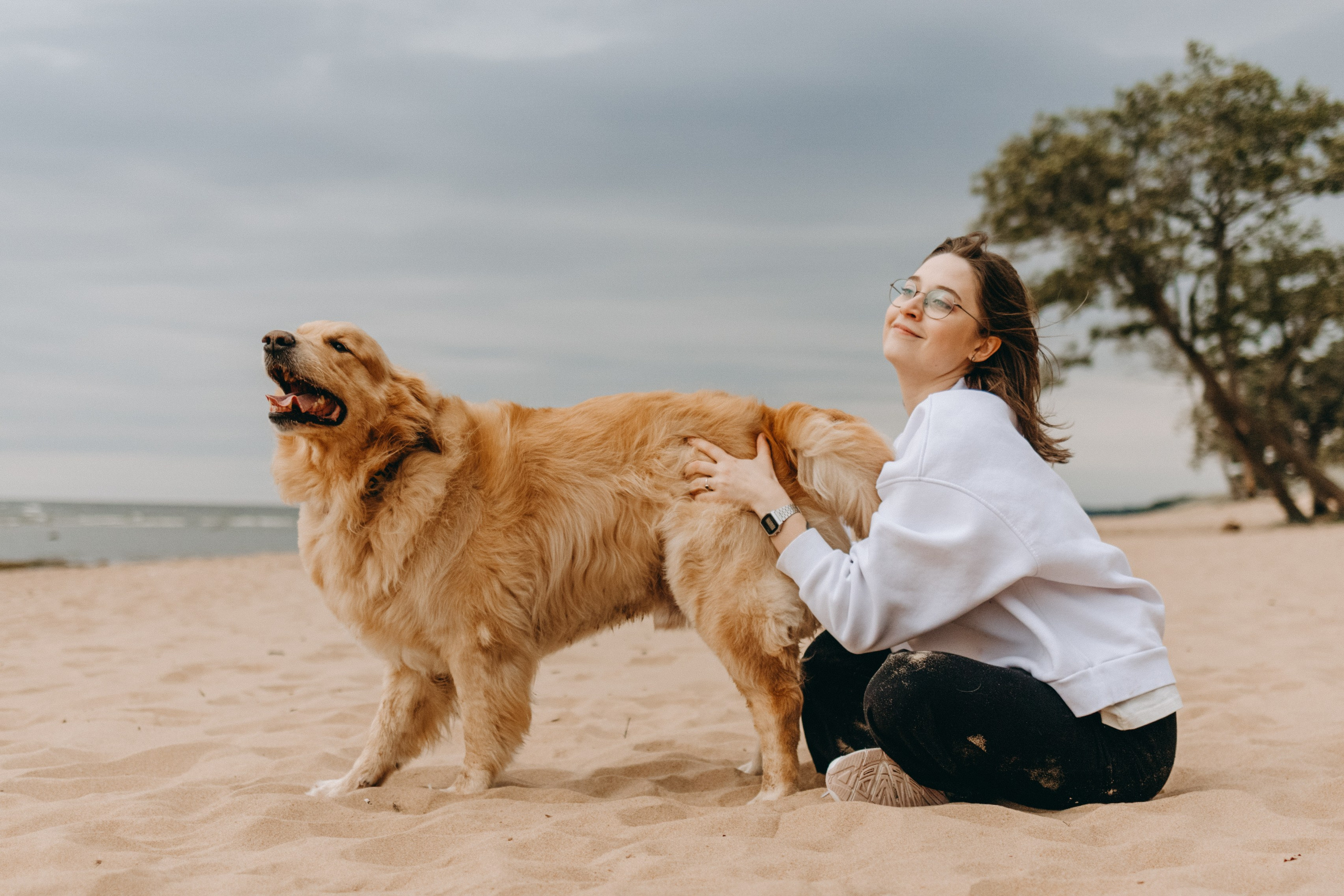 Фоси и его семьи. Фотограф — Анималист | Санкт-Петербург