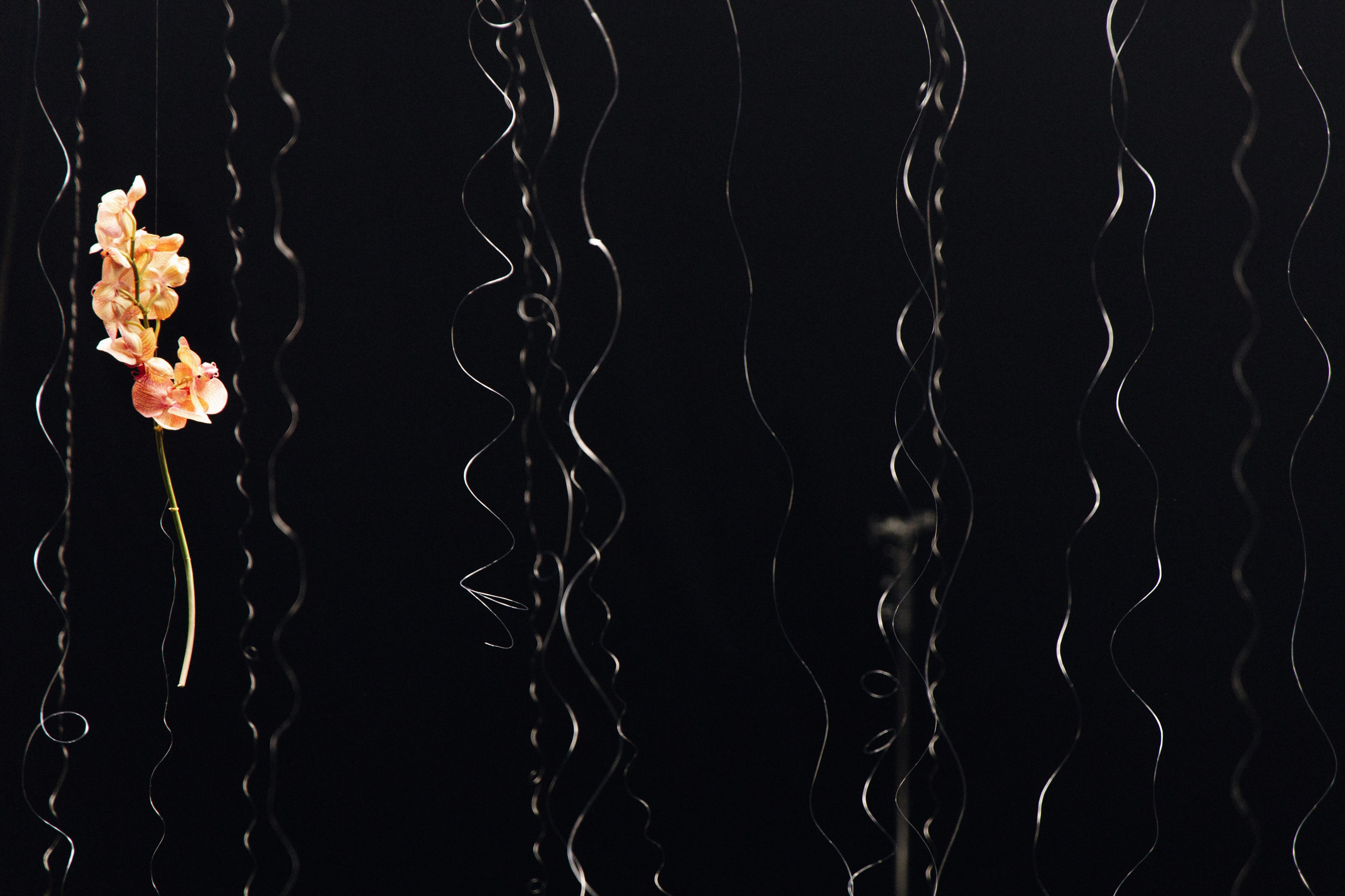 Репортаж. Егор Брагин — свадебный и репортажный фотограф в Екатеринбурге