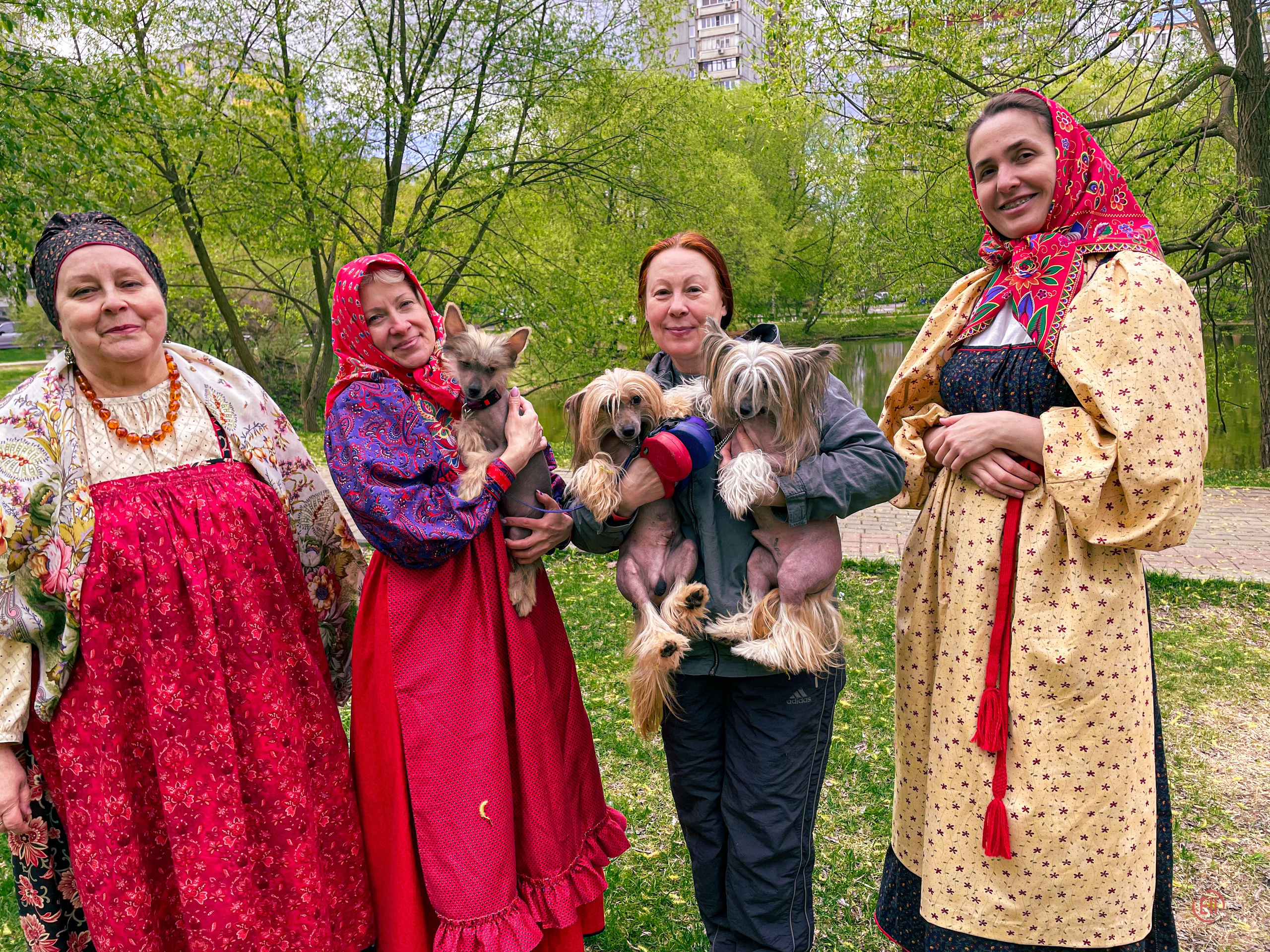 We were stopped on our walk!. Poale Ell Chinese Crested Dog Kennel: Buy a puppy from the kennel