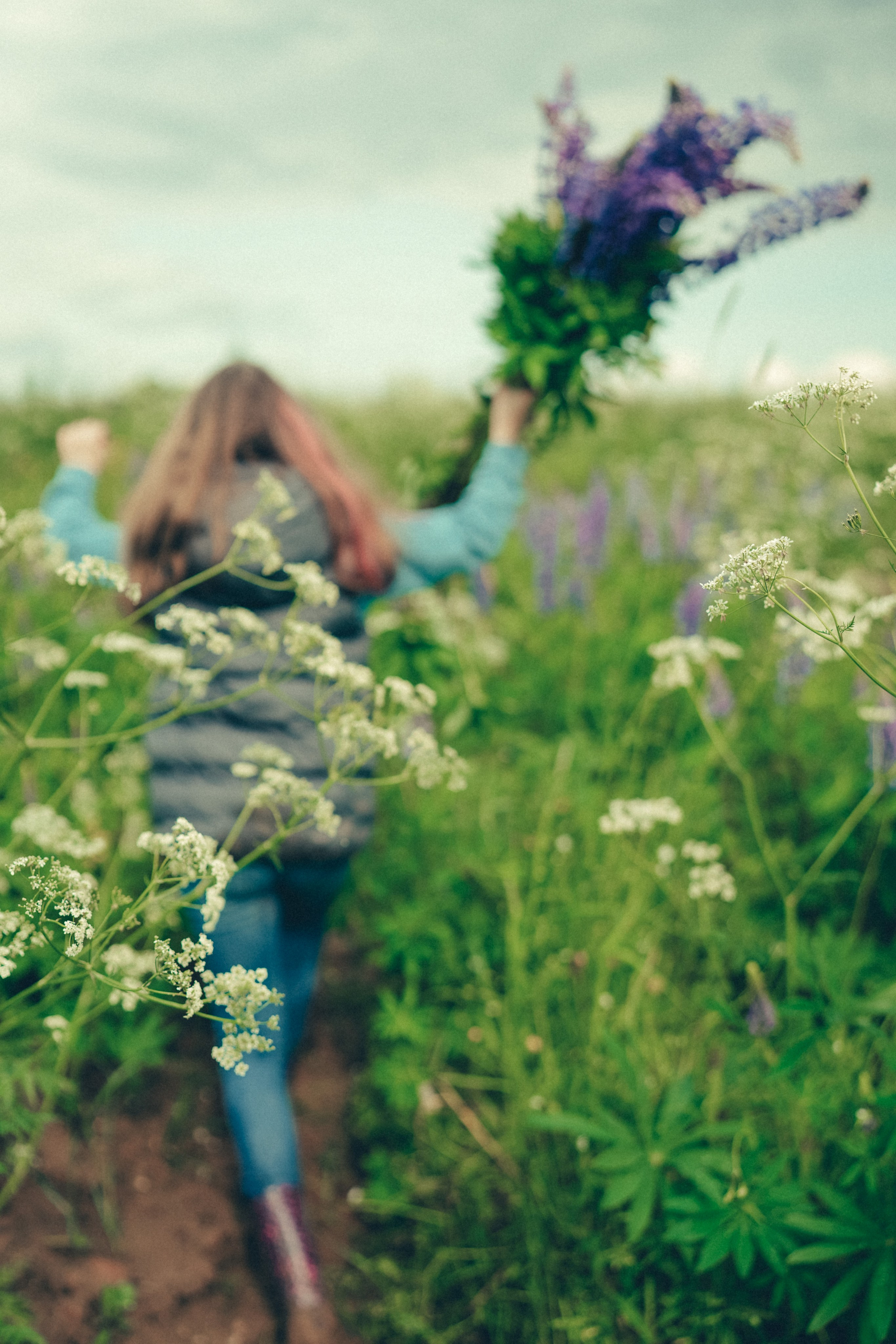 Люпиновое поле. Портретный фотограф в Санкт-Петербурге Дария Сыч