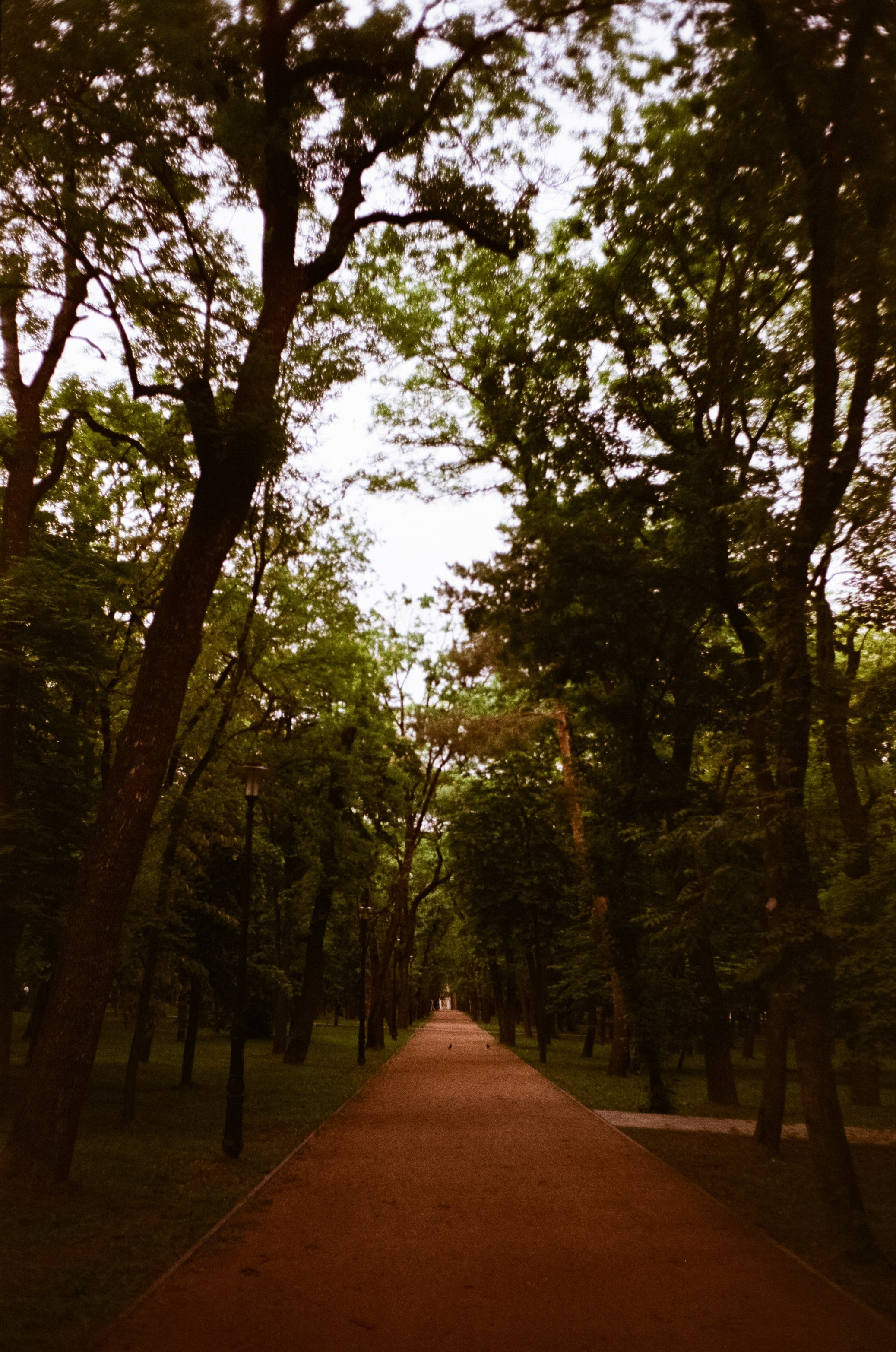 Ессентуки / 4 мая 2024 года / Minox 35GT / Konica VS Super 200