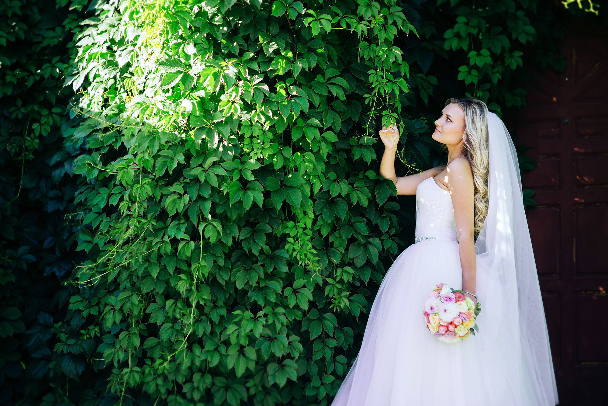 Свадьбы. Фотограф в Москве Ольга Svog