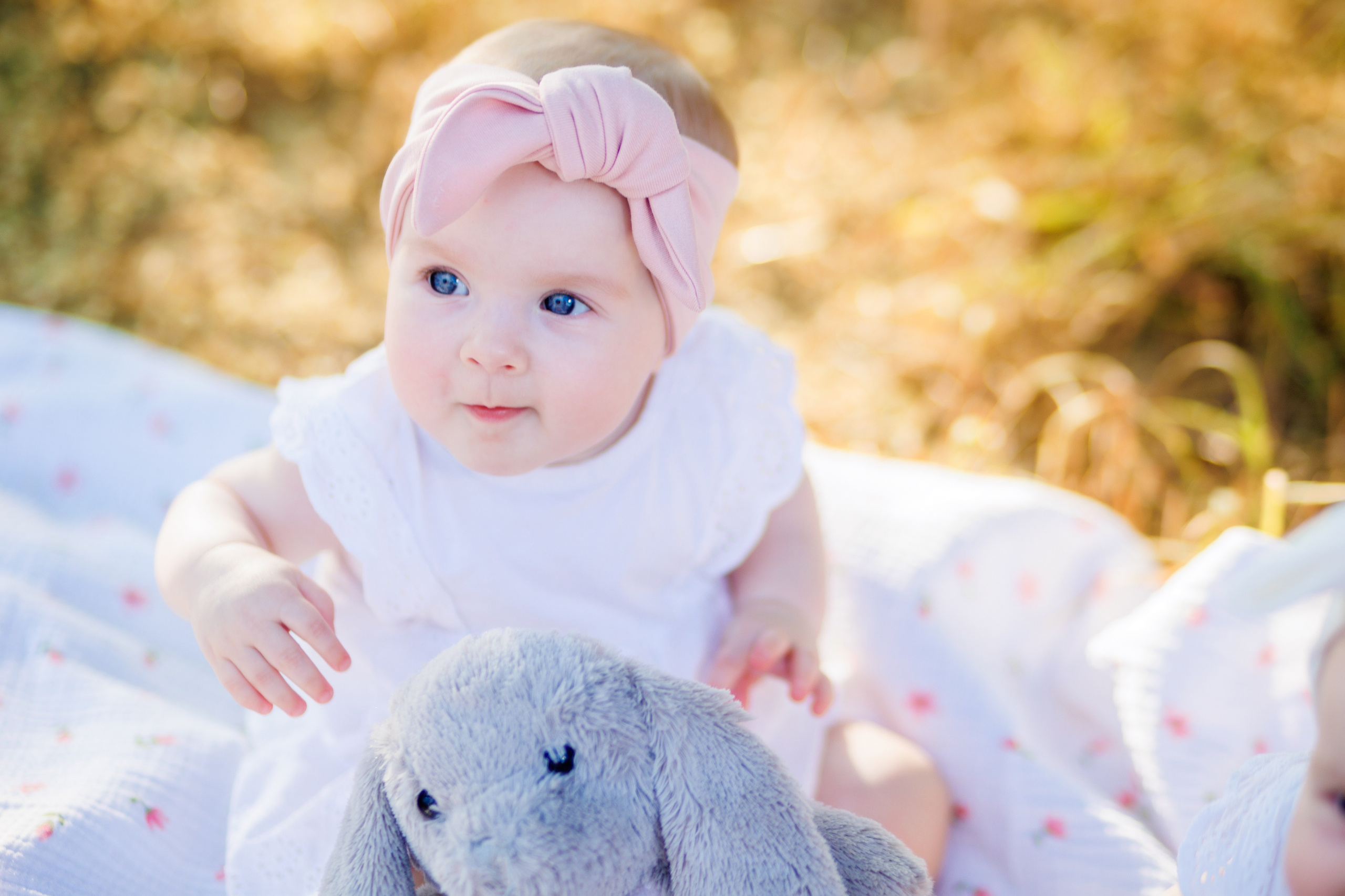 Прогулка на природе. Свадебный и семейный фотограф в Армавире