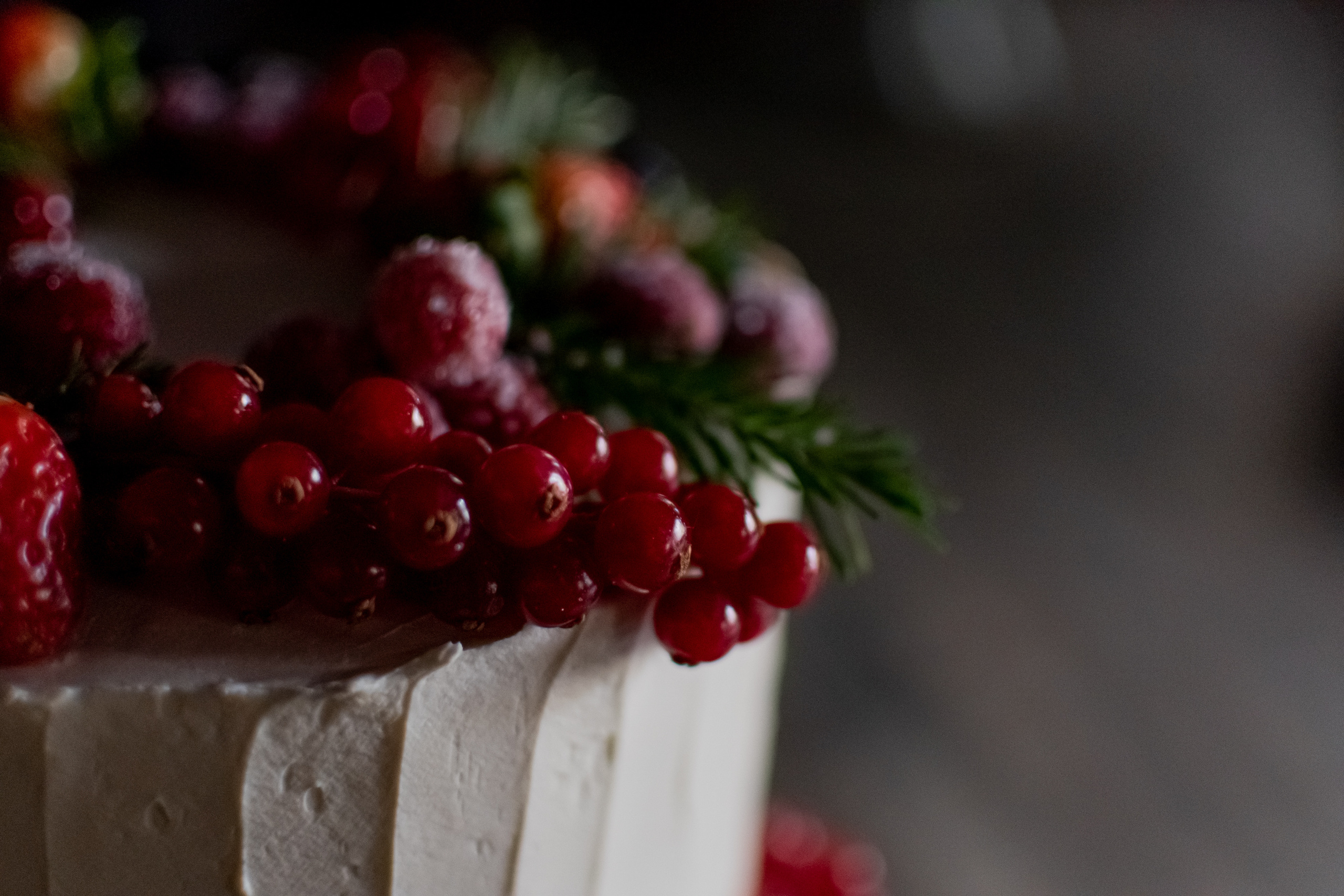 Январь, 2022 — Усадьба Roden Manor. Свадебный и семейный фотограф Екатерина Пушан. Москва, Балашиха, Железнодорожный, Солнечногорск