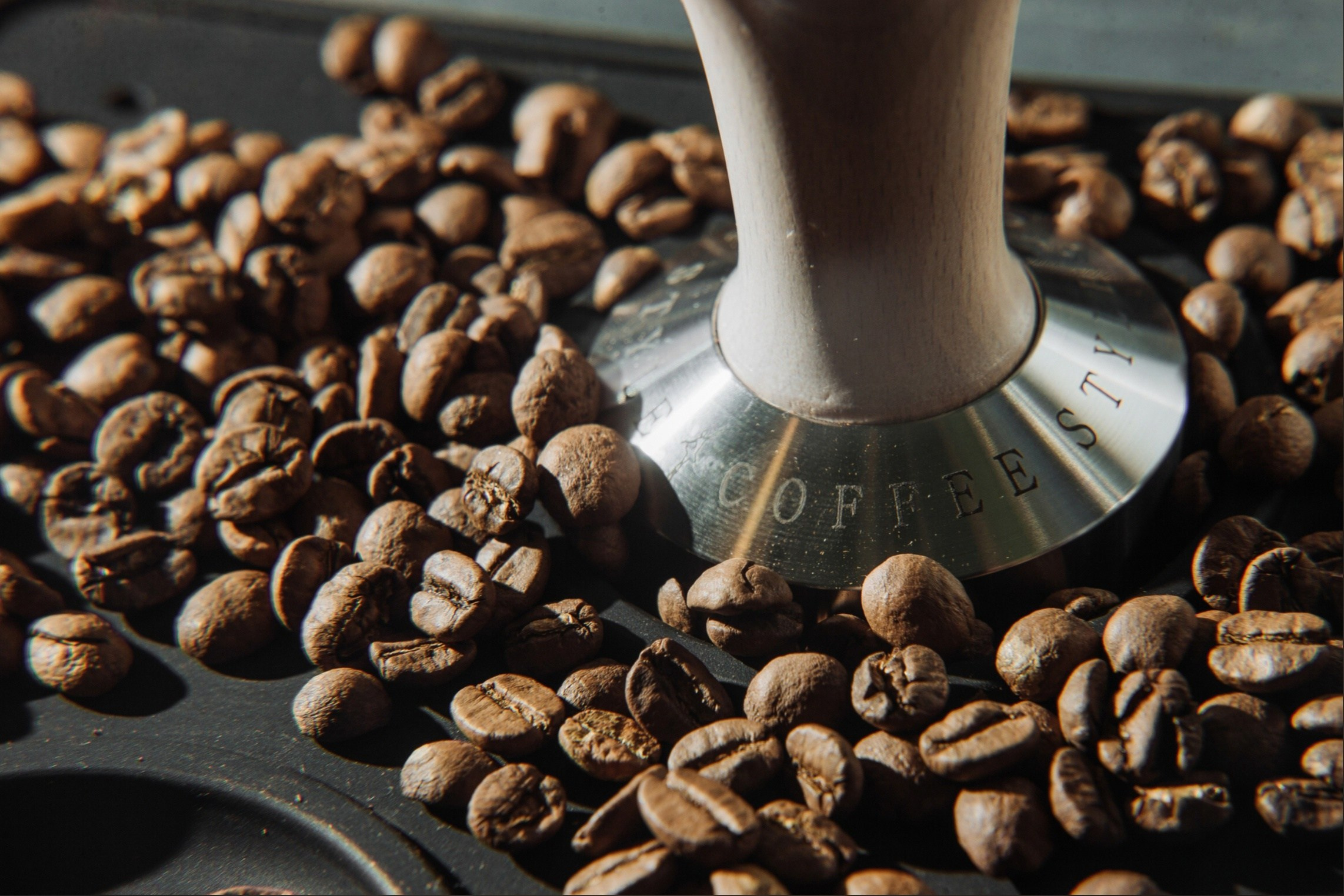 БИЗНЕС КОНТЕНТ. Портфолио свадебного фотографа. Роман Каргаполов