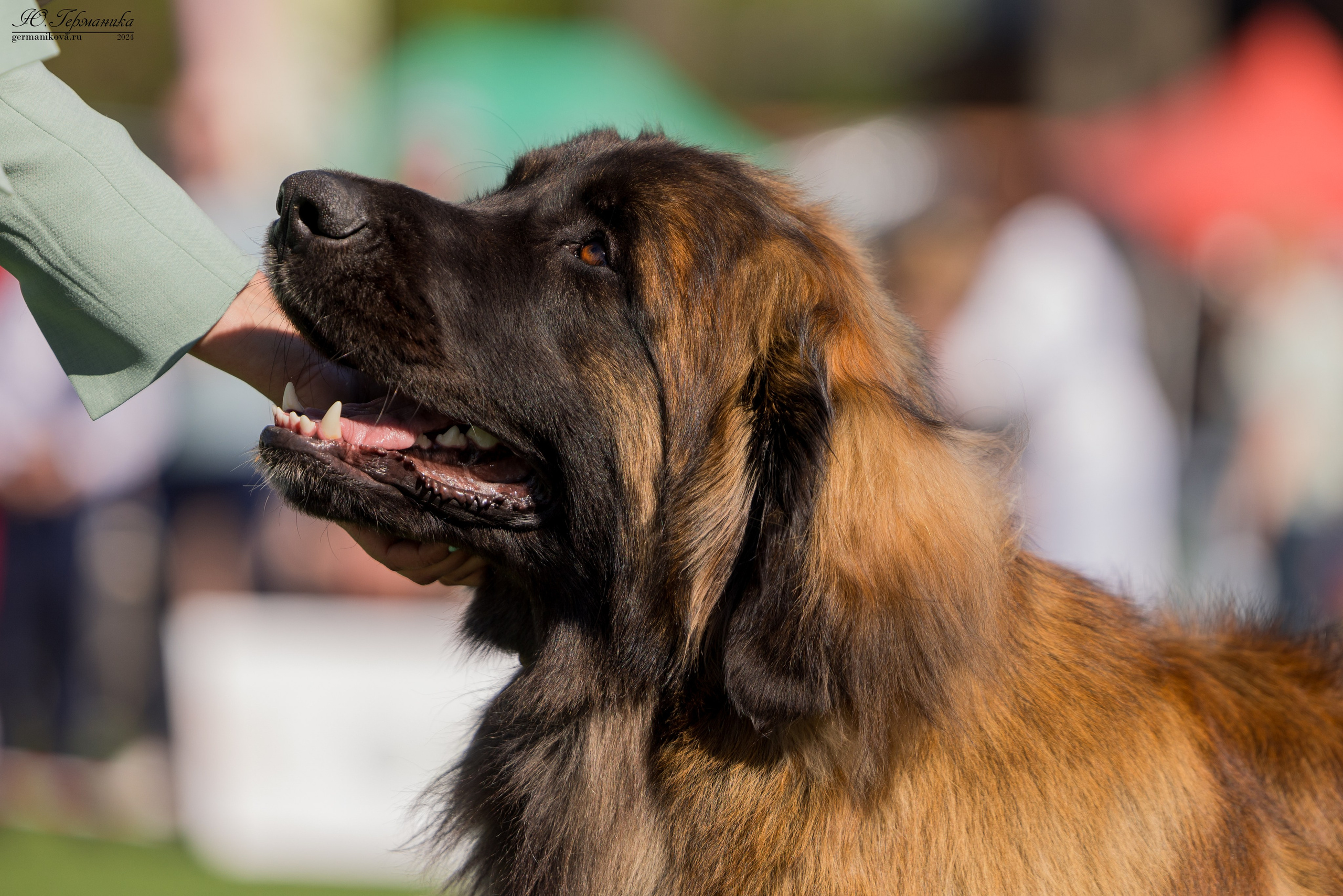 Суздаль 18-19.05.2024