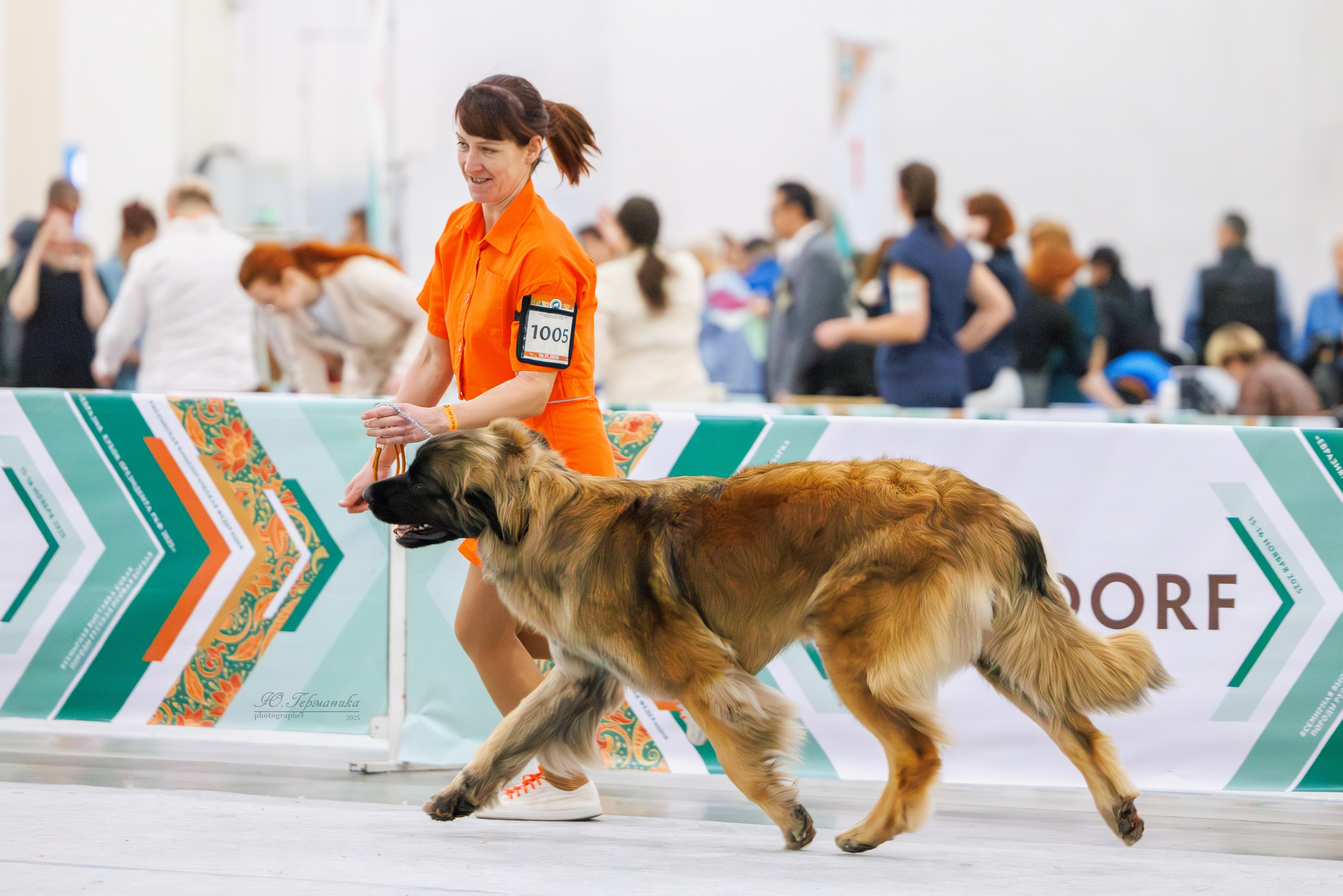 Евразия 15-16.11.2025. Фотограф-анималист Юлия Германика