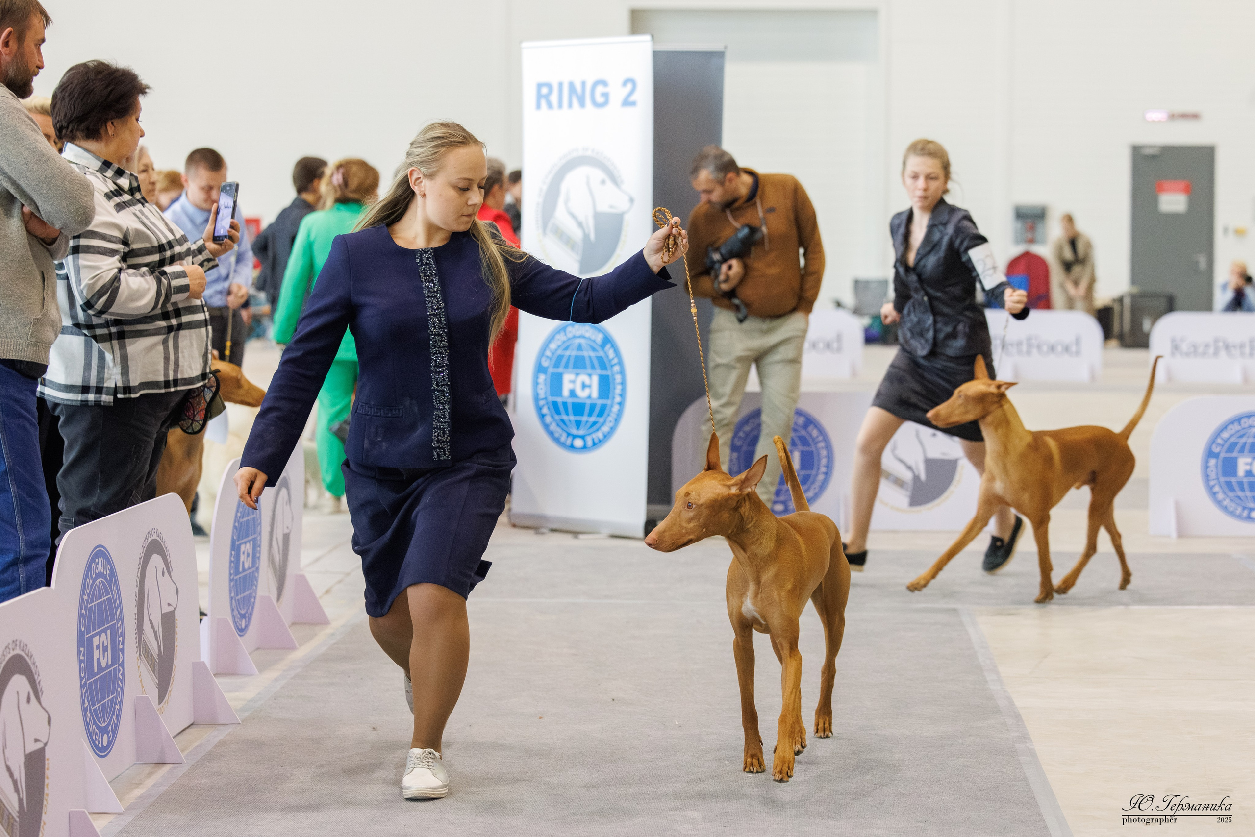 Астана 2хCACIB 3-4.05.2025. Фотограф-анималист Юлия Германика
