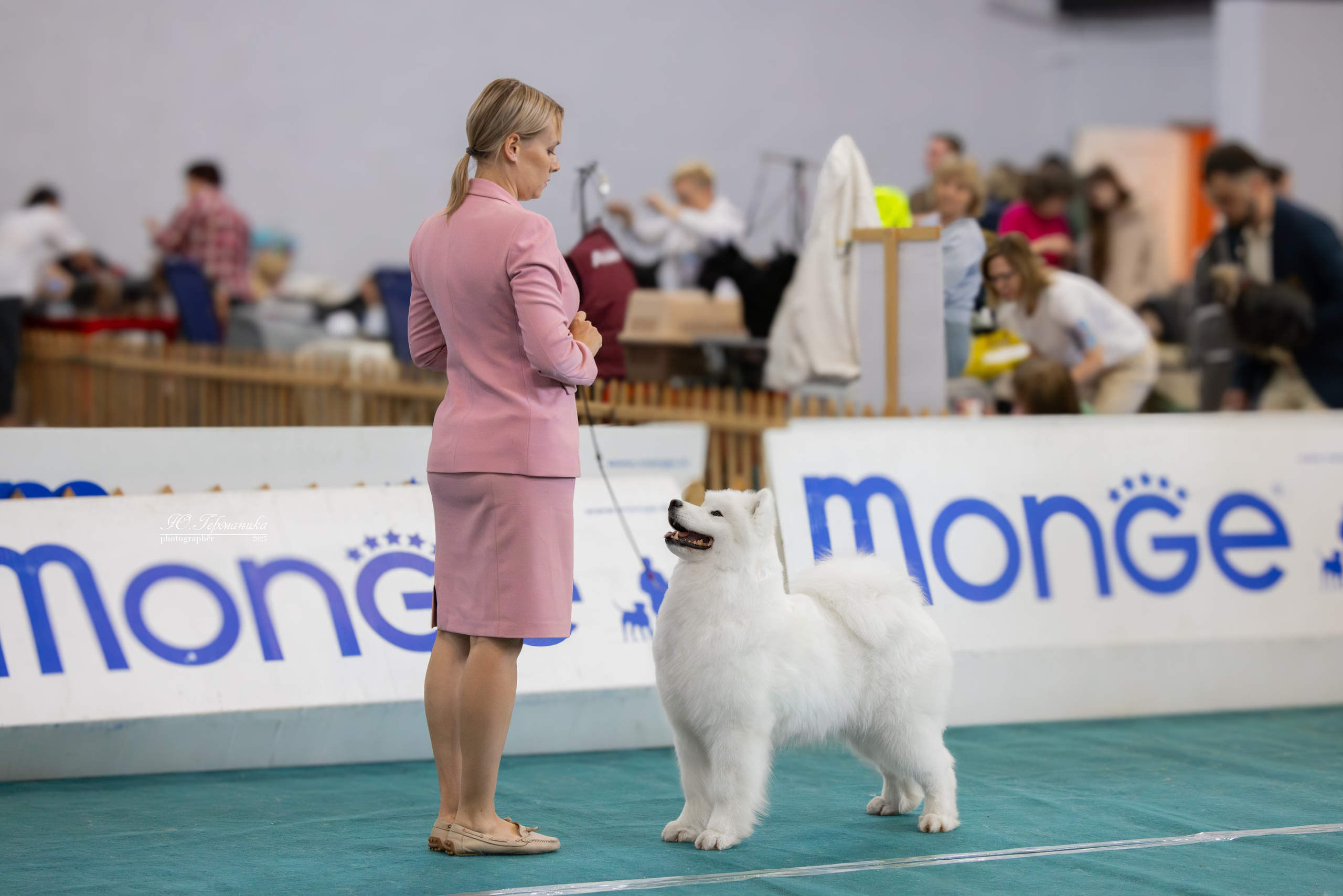 Ереван 2х CACIB 29-30.04.2025. Фотограф-анималист Юлия Германика