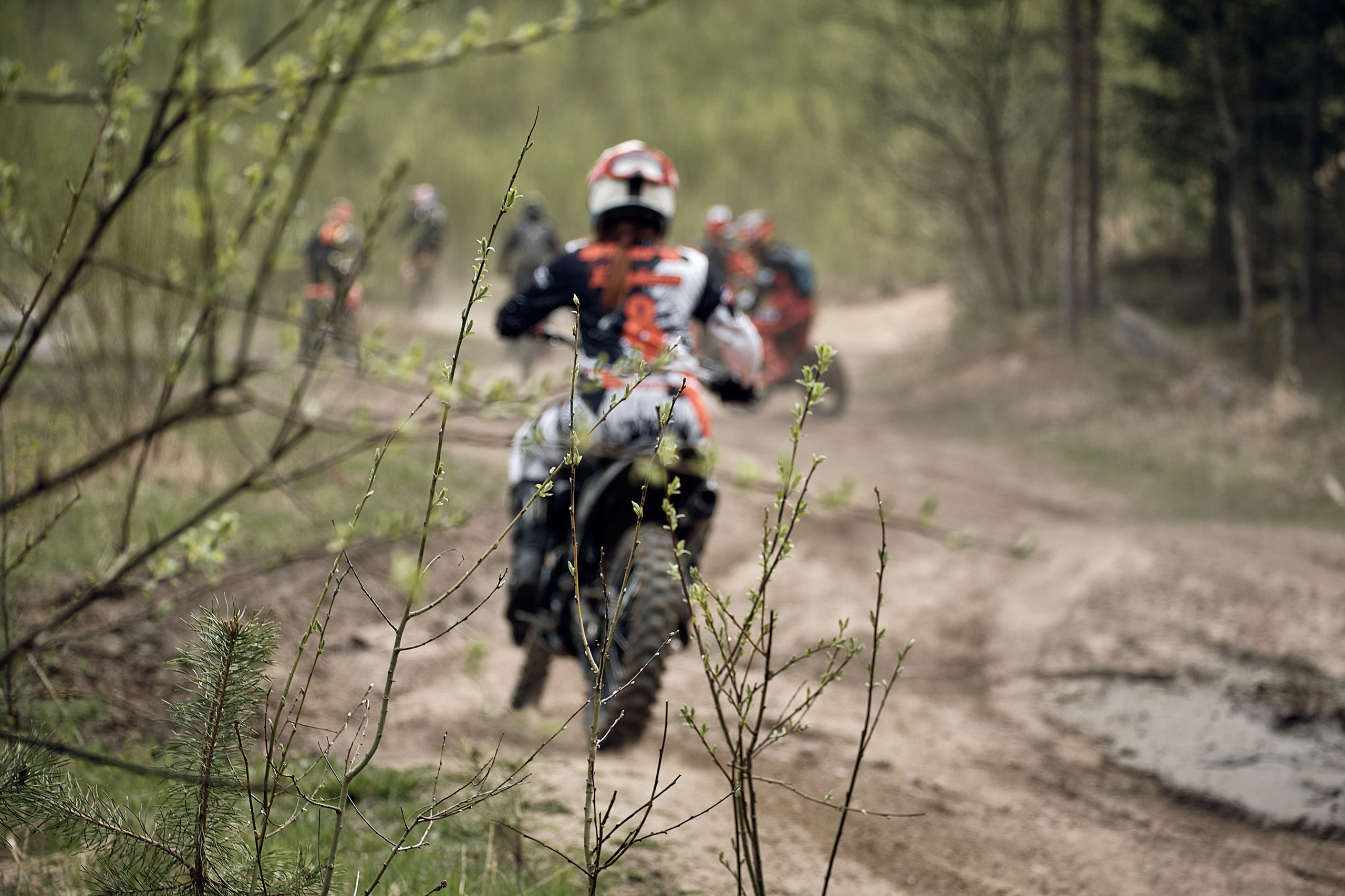 Репортажный фотограф в СПб и Гатчине. Свадебный фотограф в Санкт-Петербурге Гатчине и ЛО