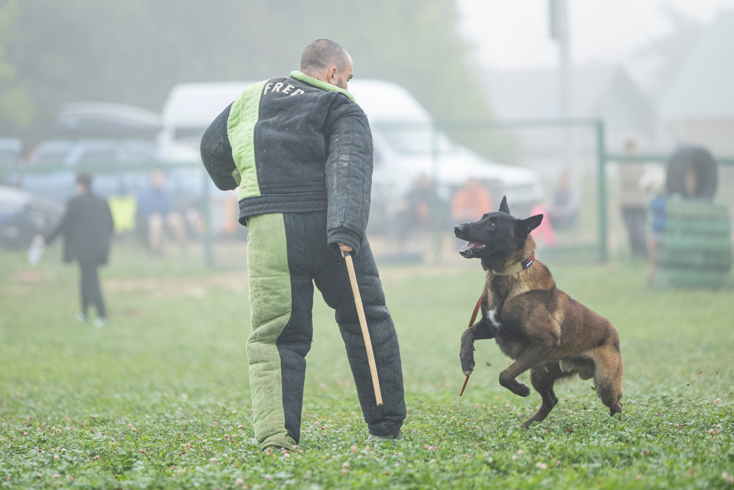 Соревнования по Мондьорингу г. Вологда 10-11.08.2024. Фотограф-анималист Анна Маринич