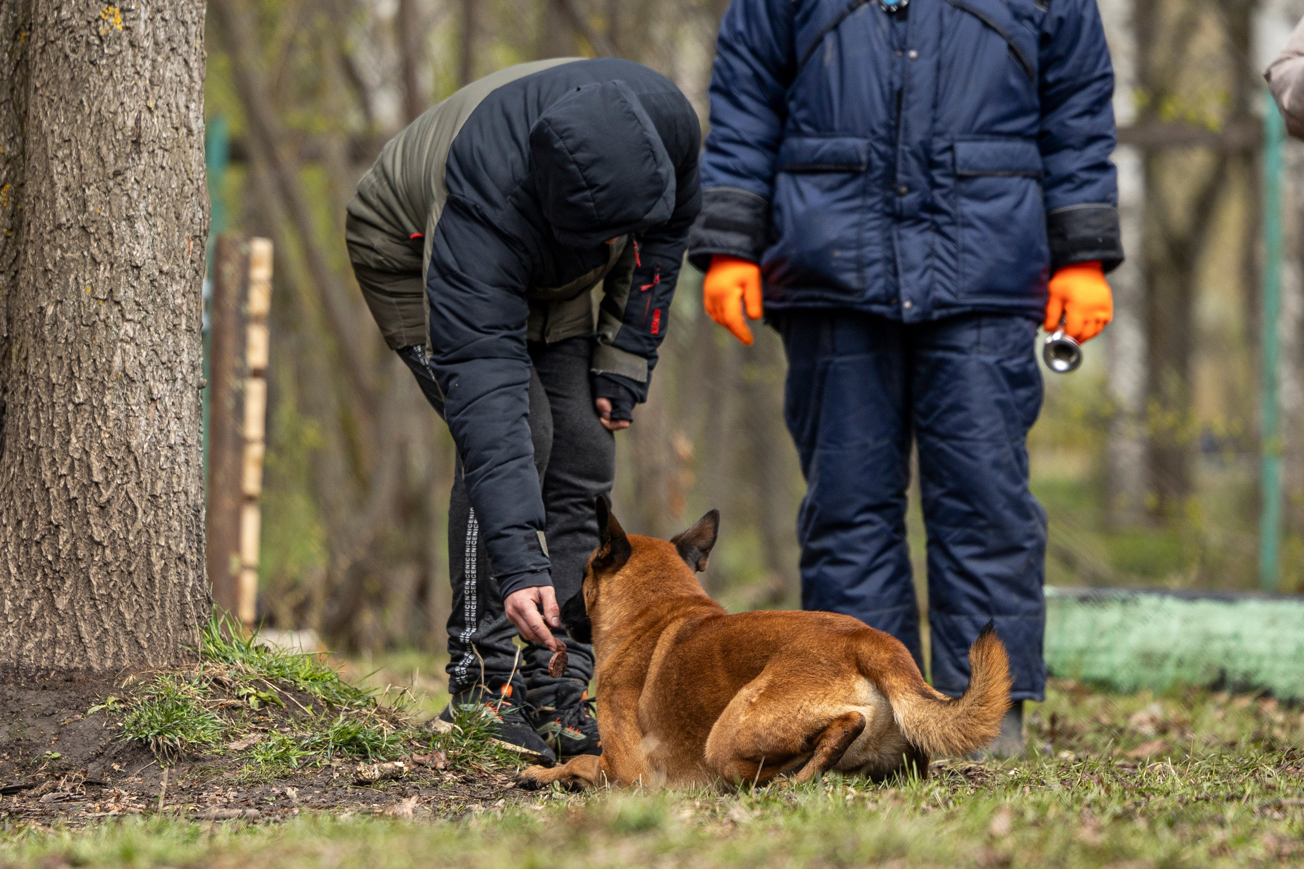 Квалификационные состязания по мондьорингу г. Вологда 11.05.24. Фотограф-анималист Анна Маринич