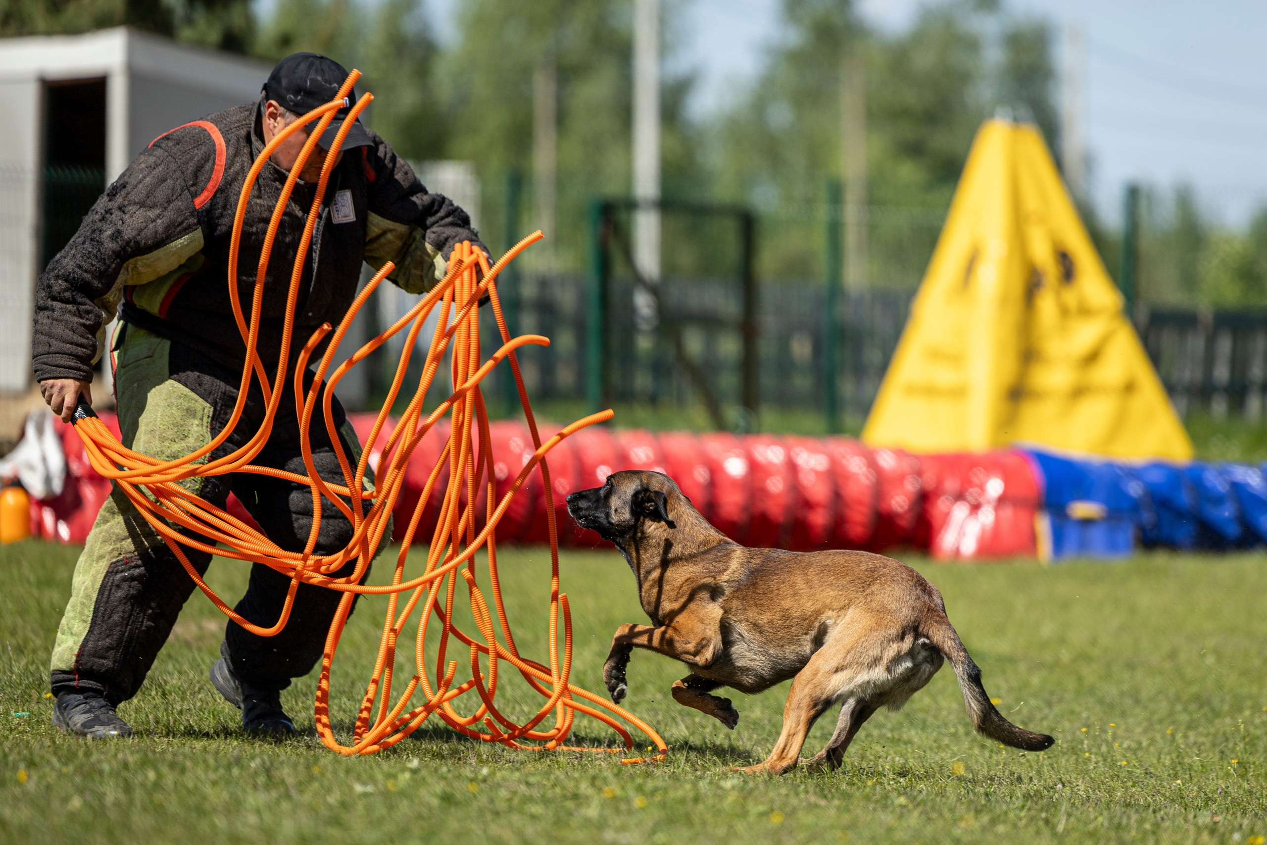Испытания по мондьорингу в Нижнем Новгороде. Фотограф-анималист Анна Маринич