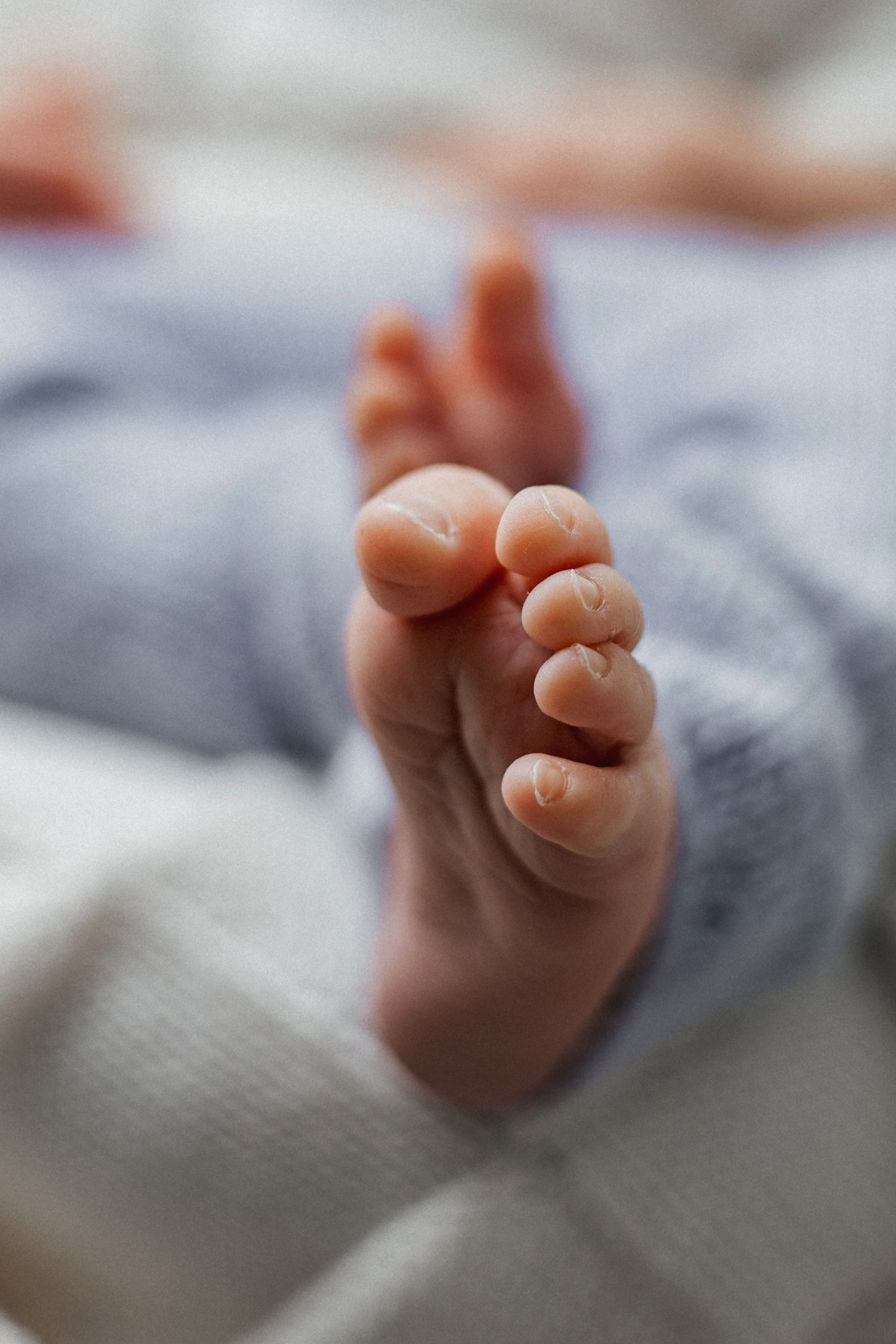 Шамиль, пакет «Комфорт», 9 дней. Фотограф новорождённых Екатерина Боброва. Ульяновск