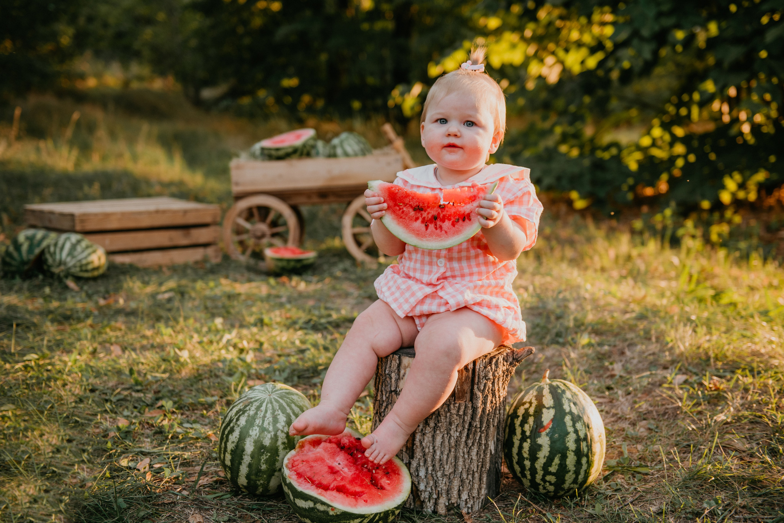 Арбузики. Детский и семейный фотограф в Армавире Даша Зубкова