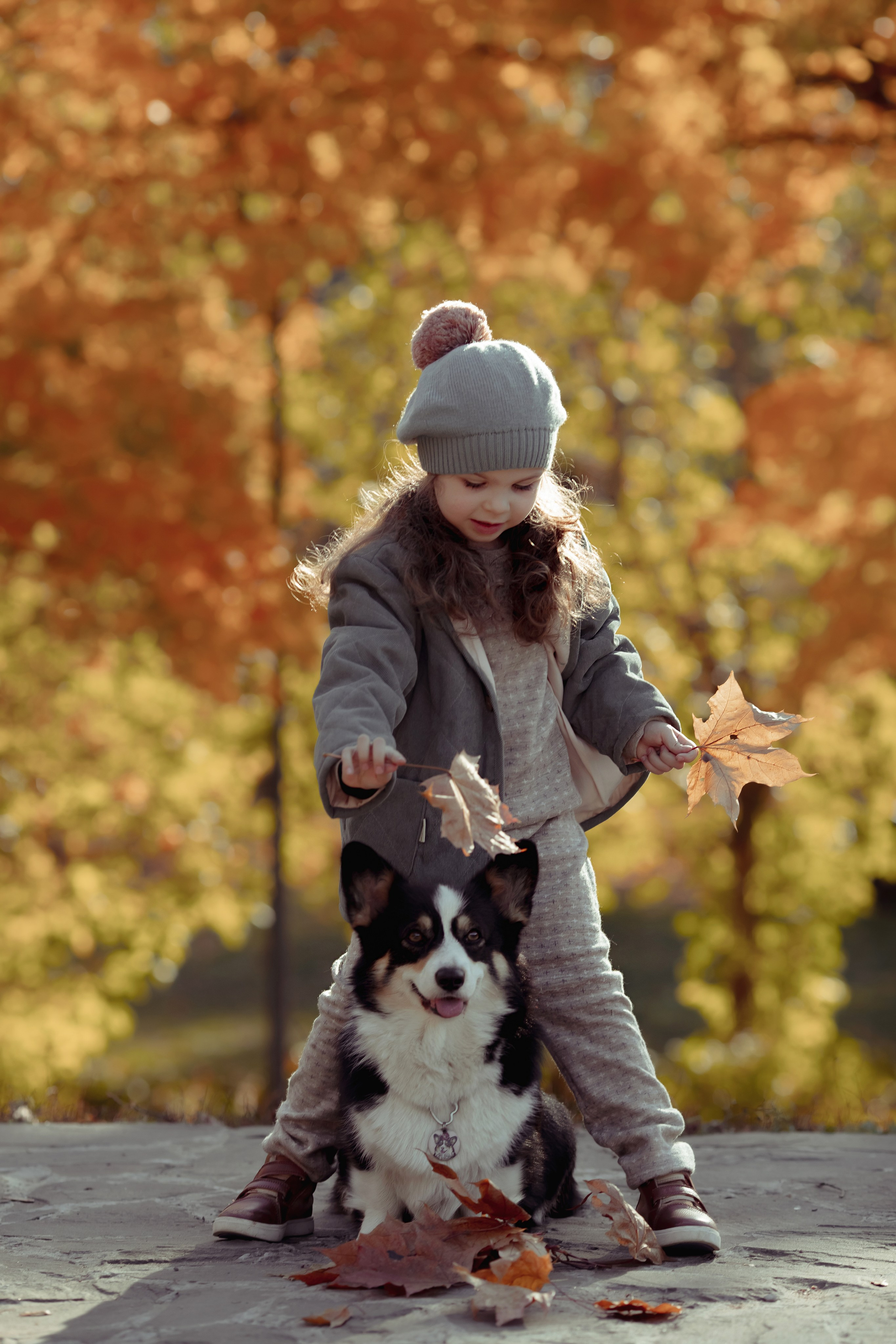 Эва с корги. Семейный и детский фотограф в Москве Дорогова Екатерина
