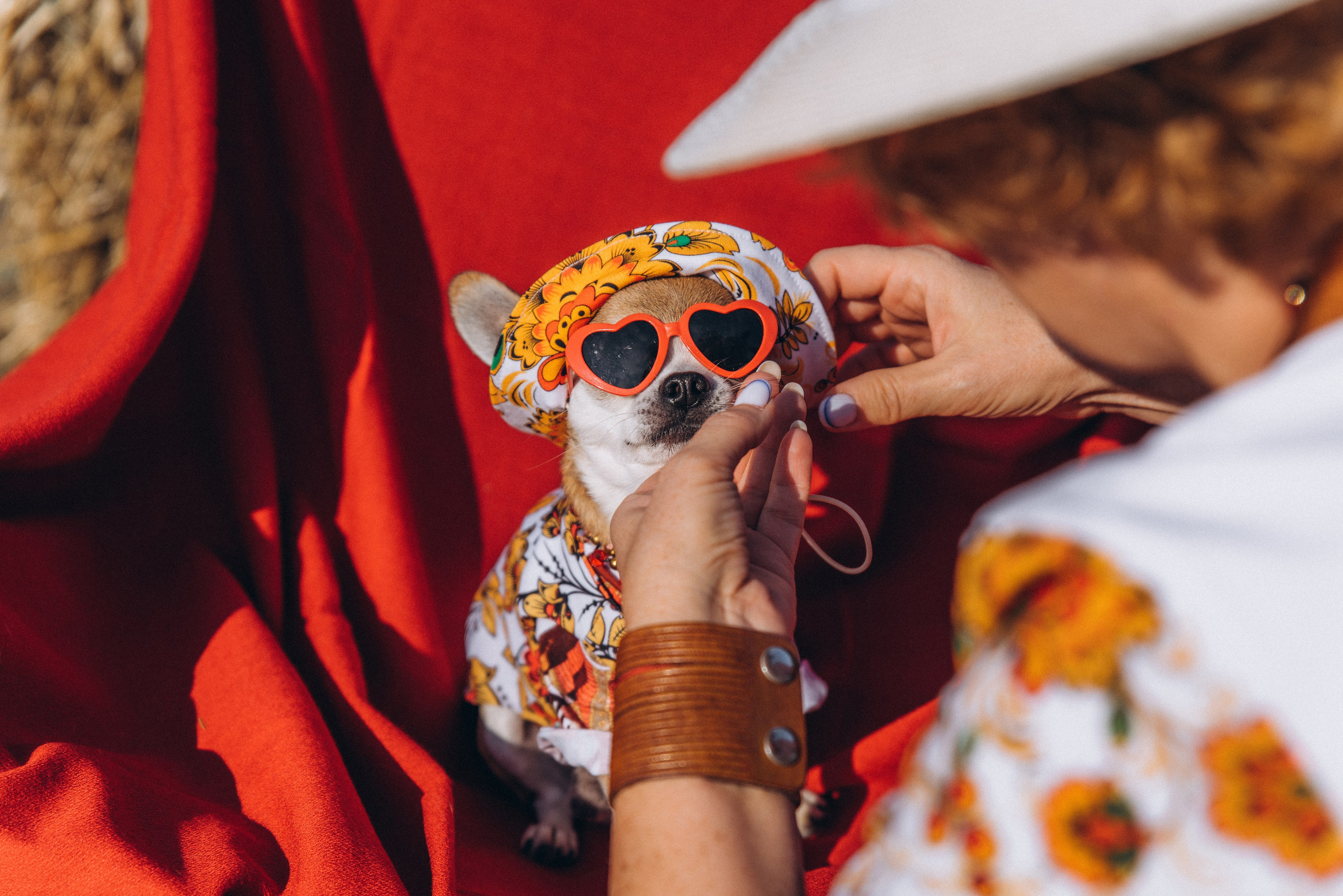 ЛЕНА. Ольга Козлова фотограф Волгоград olkiny-fotki.ru