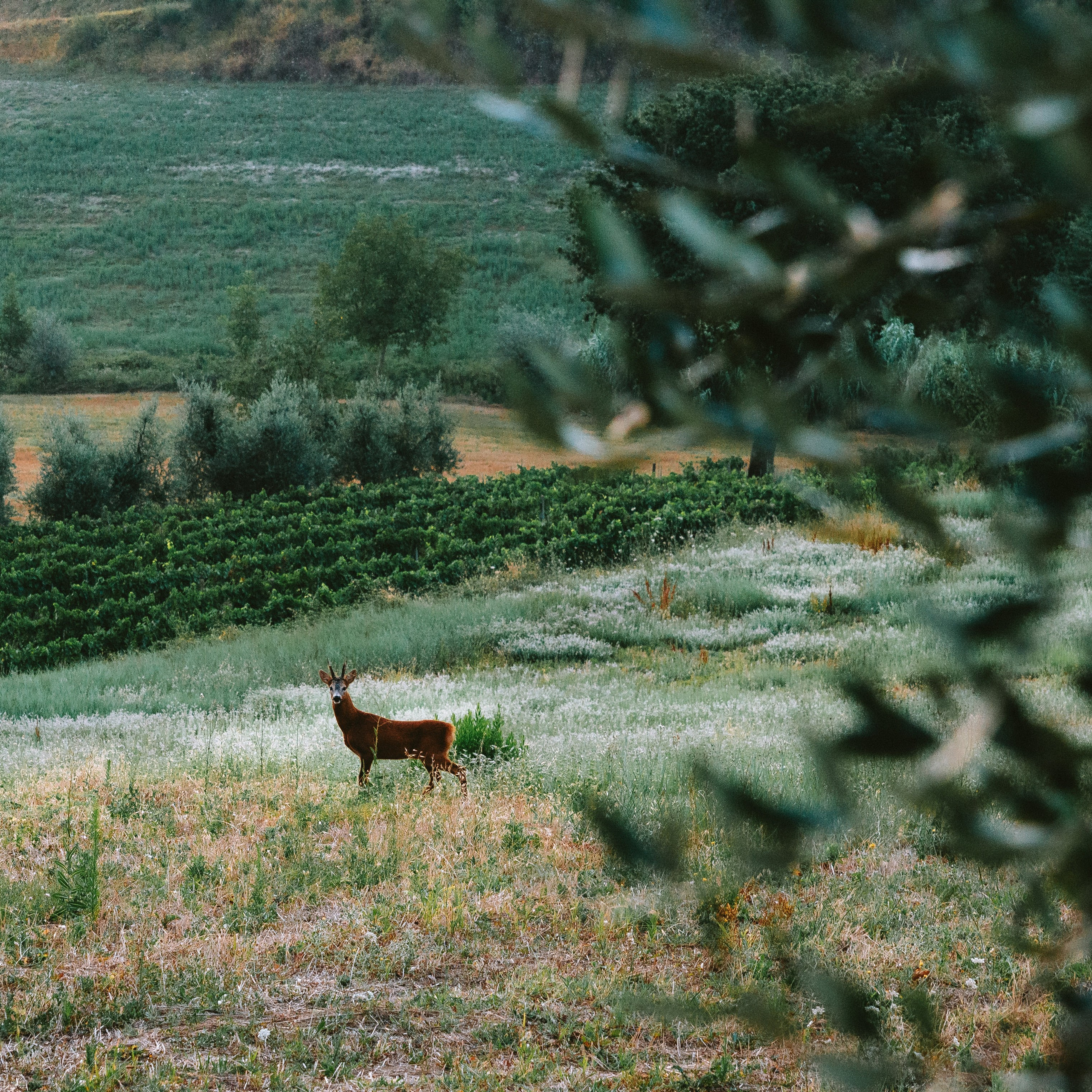 Фотографии Италии. Фотографии Дмитрия Захаренко