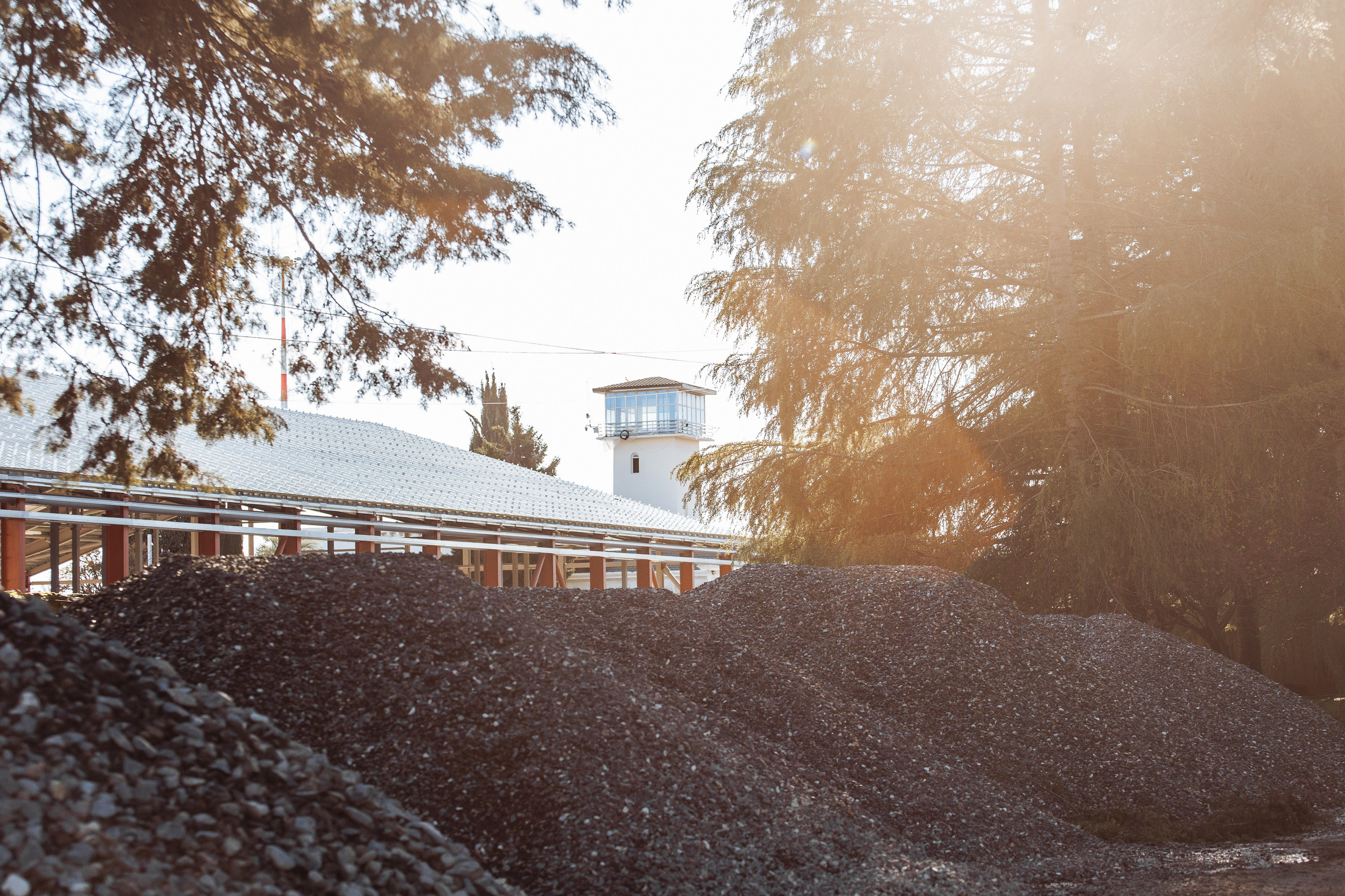 Профессиональный свадебный фотограф в Сочи для вашего идеального дня. Свадебный фотограф в Абхазии, Сухум, Гагра, Сочи