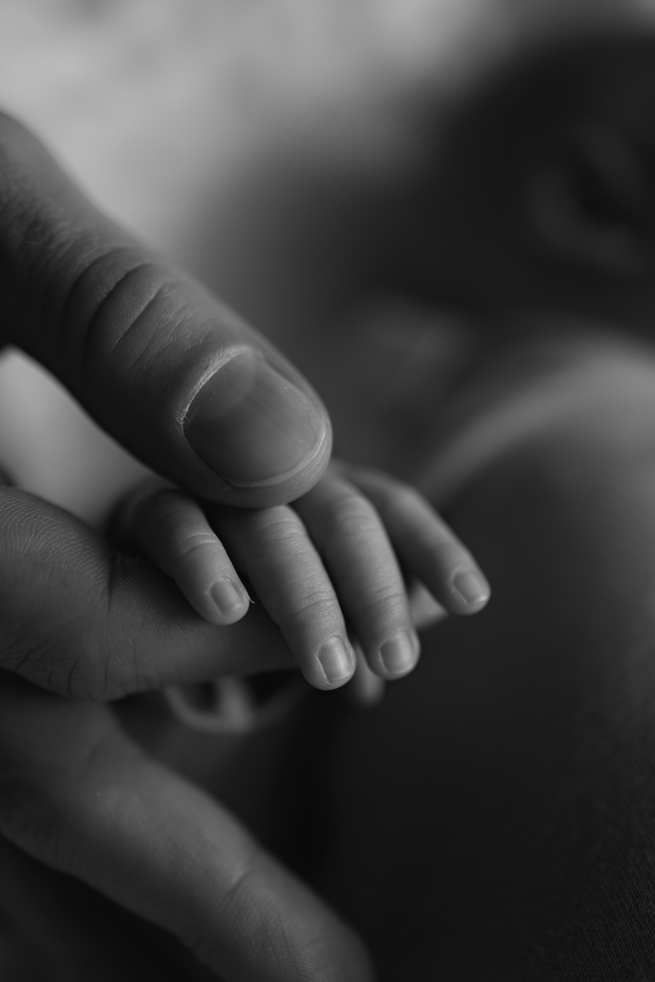 Семьи. Детский и семейный фотограф в Чите Анастасия Шубина