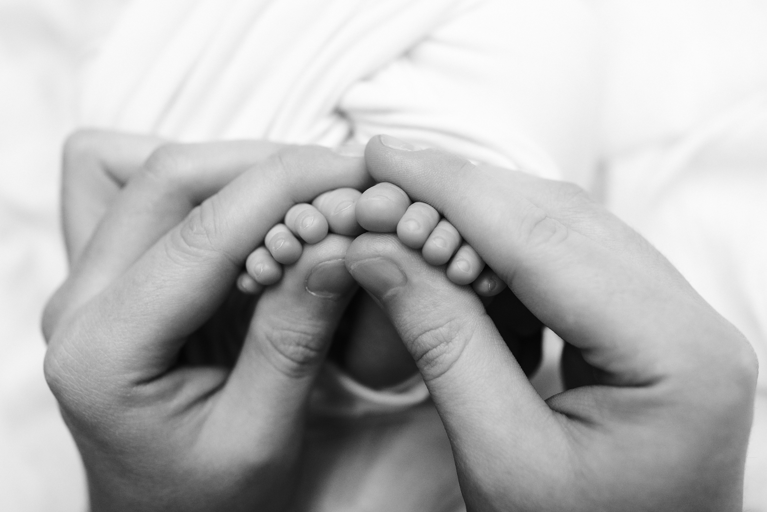 Фотосессия новорождённых. Фотограф Беременности и Новорождённых в Кемерово