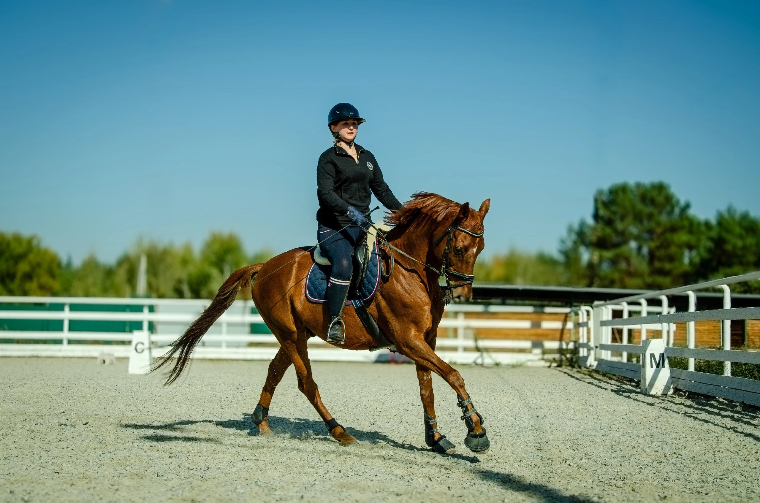 Мультифотограф Виктория Лихоманова