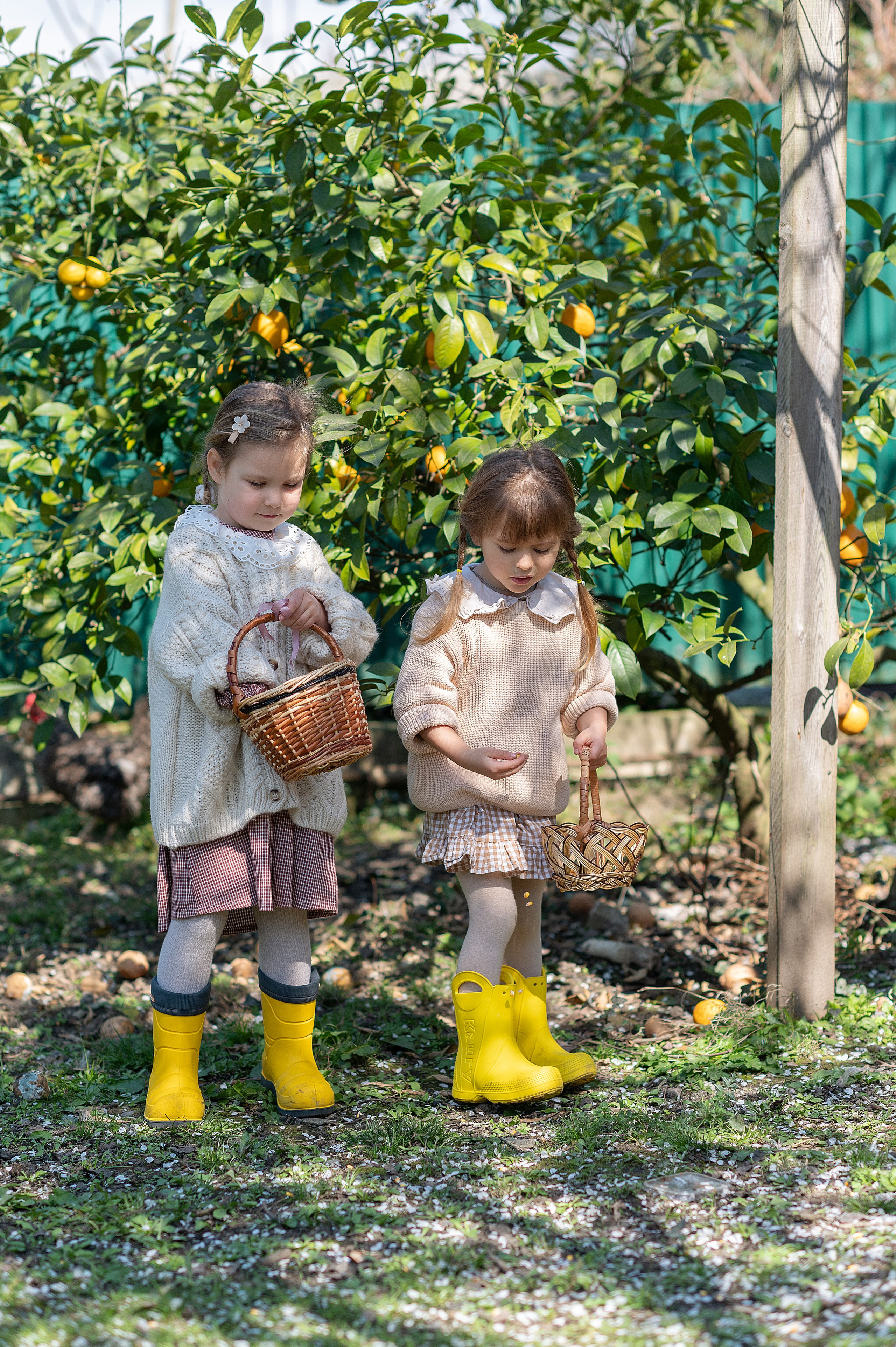Курочки. Детский фотограф Абхазия