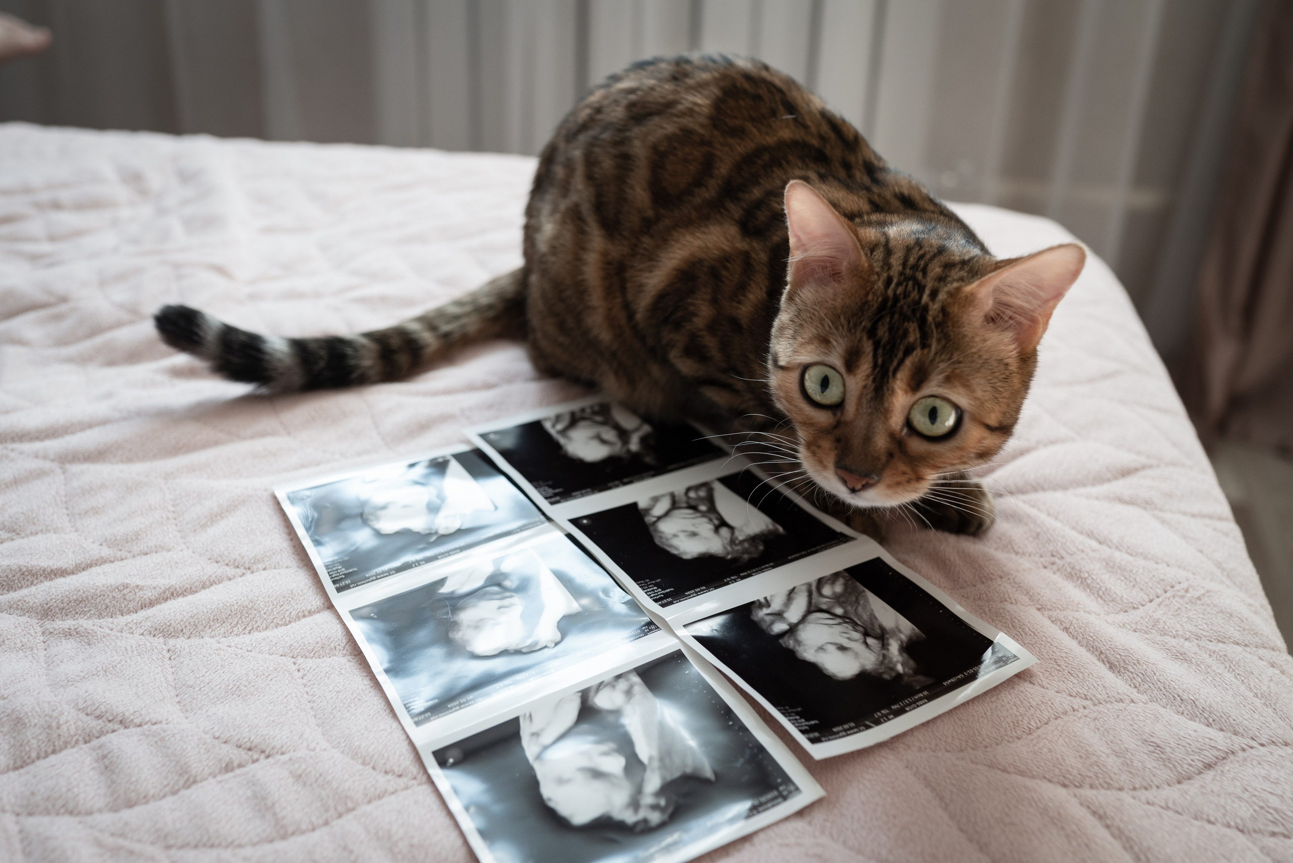 Беременность. Семейный и детский фотограф Лариса Ерданова в Екатеринбурге