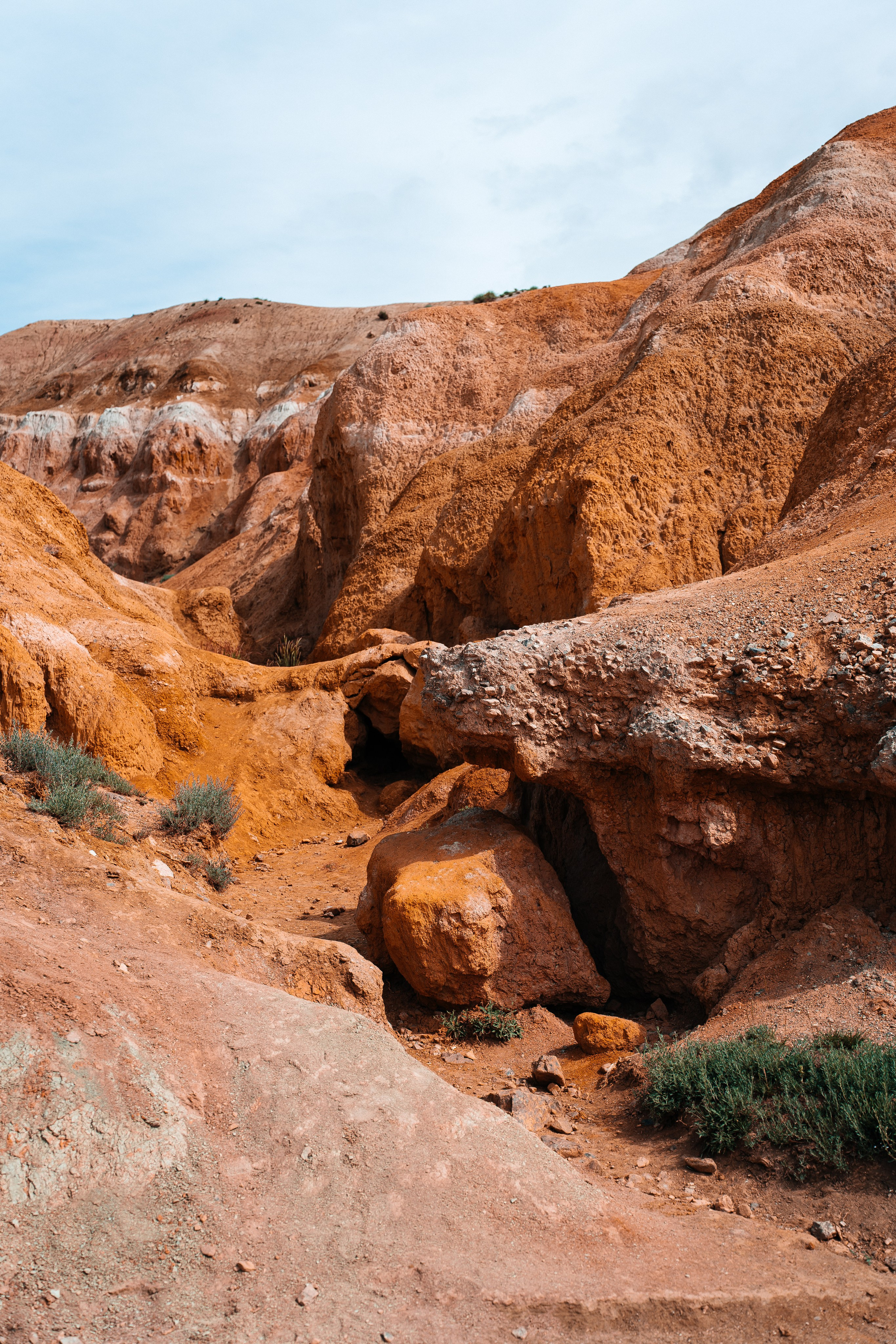 Алтай. Семейный фотограф в Санкт-Петербурге