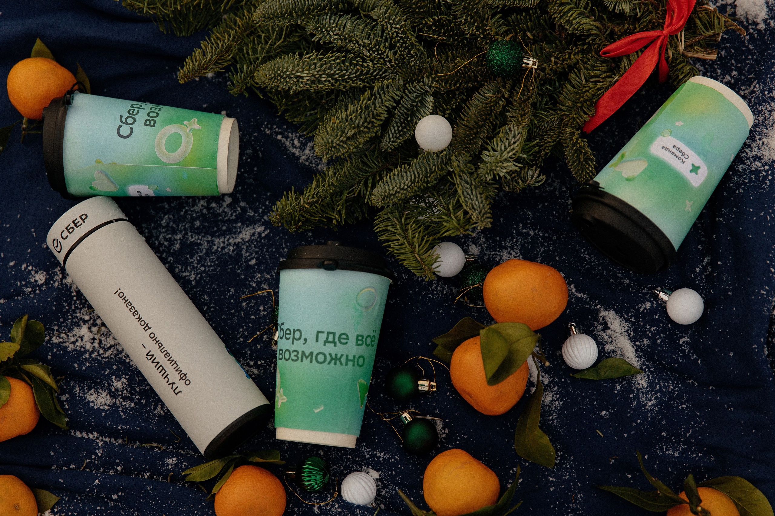 Куб от Сбера. Детков Николай — фотограф в Омске