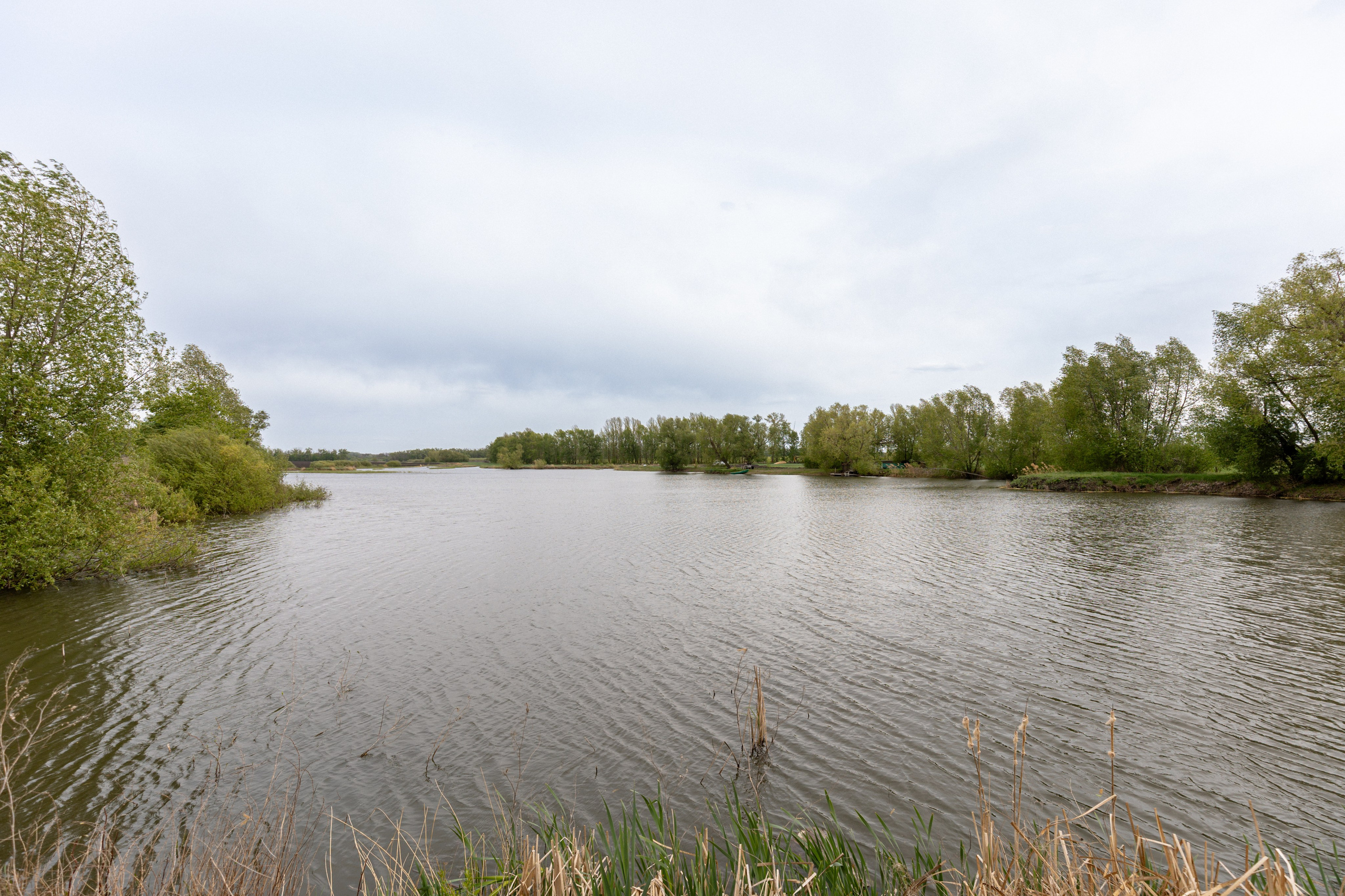 Приусадебный участок. Владислав Волков | Фотография и видеосъемка в Воронеже