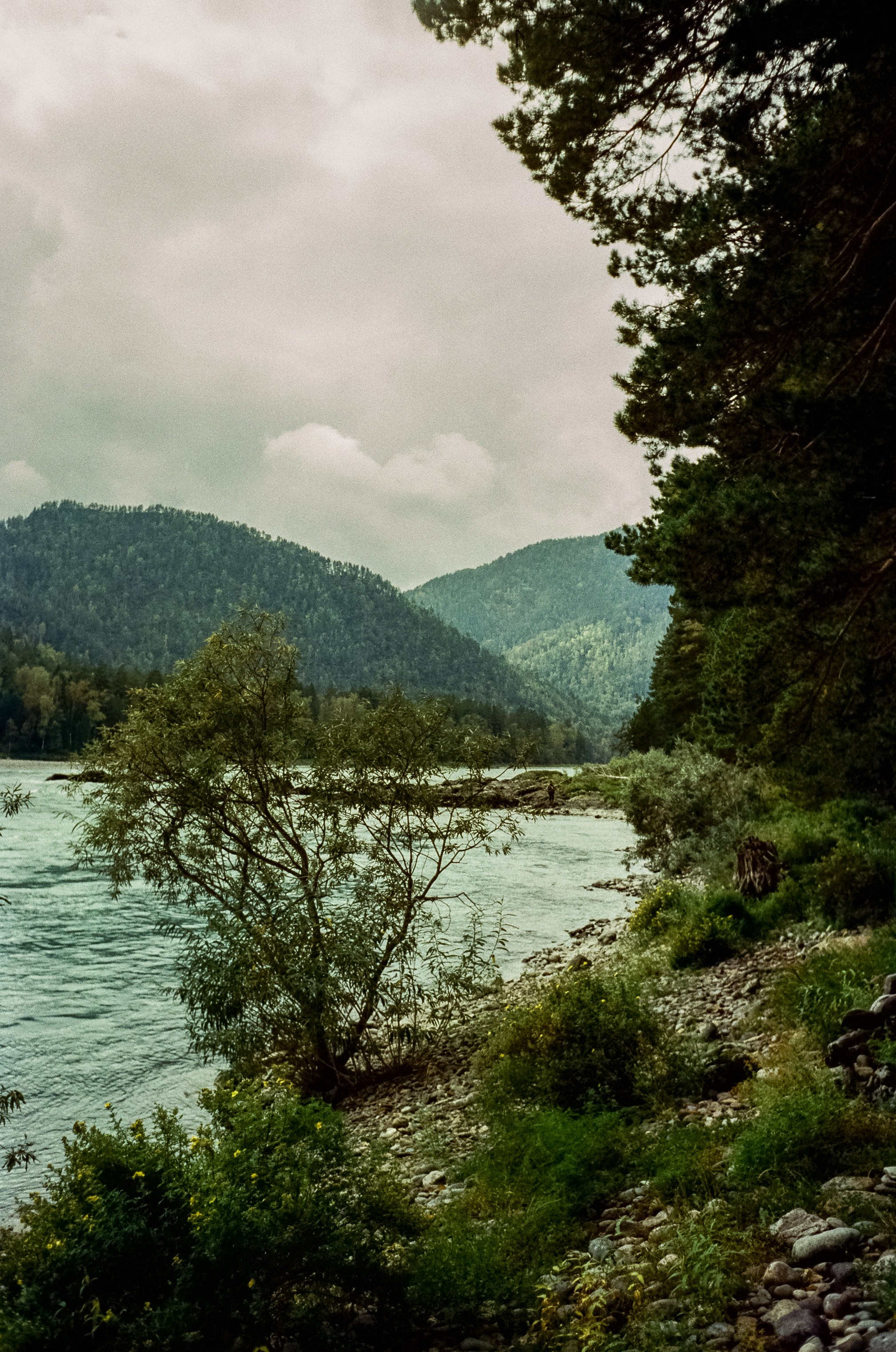 Minox 35GT примеры фотографий на пленку