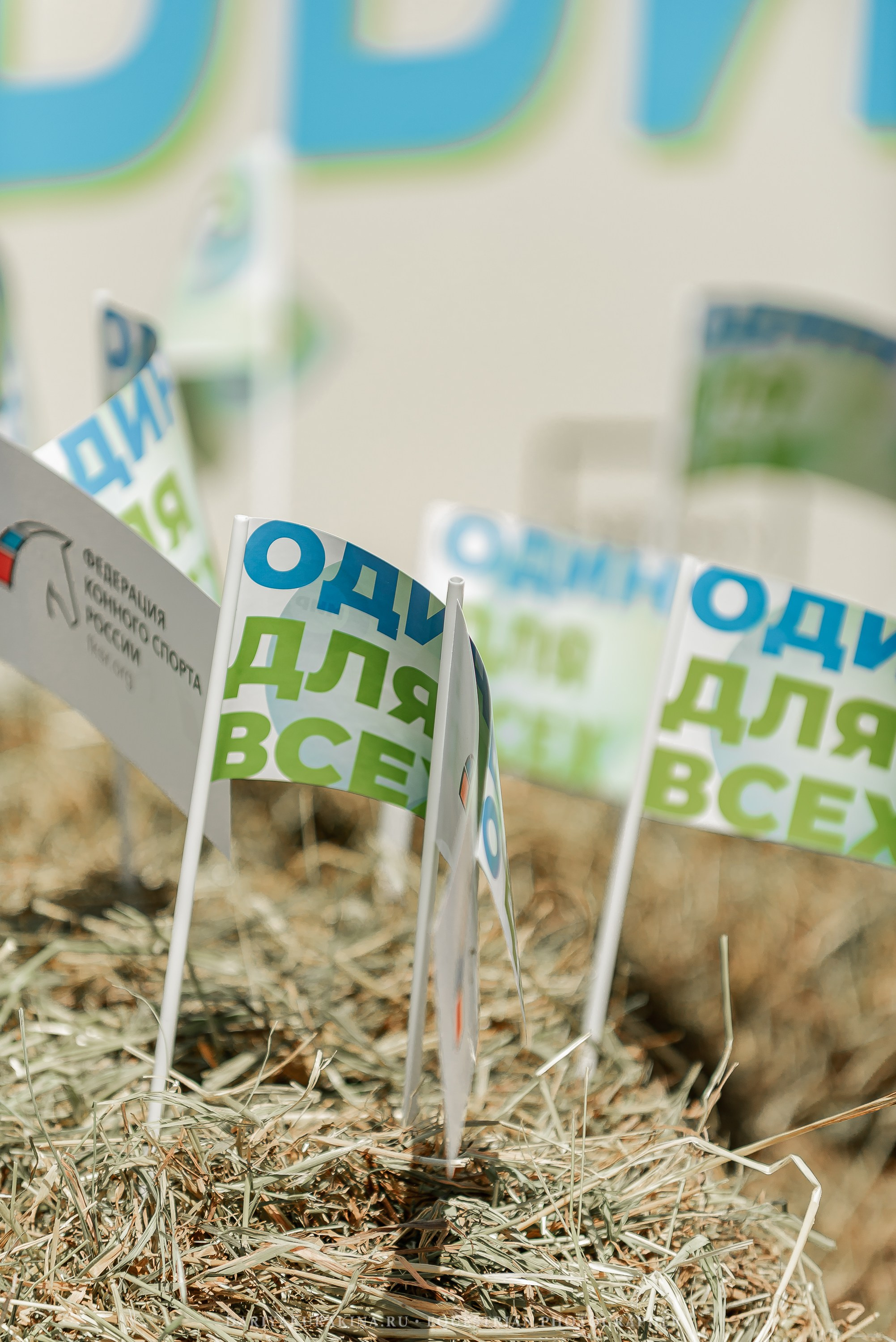 #ПОНИФОРУМ 2024. Конный фотограф Куракина Дарья • Фотосессии с лошадьми