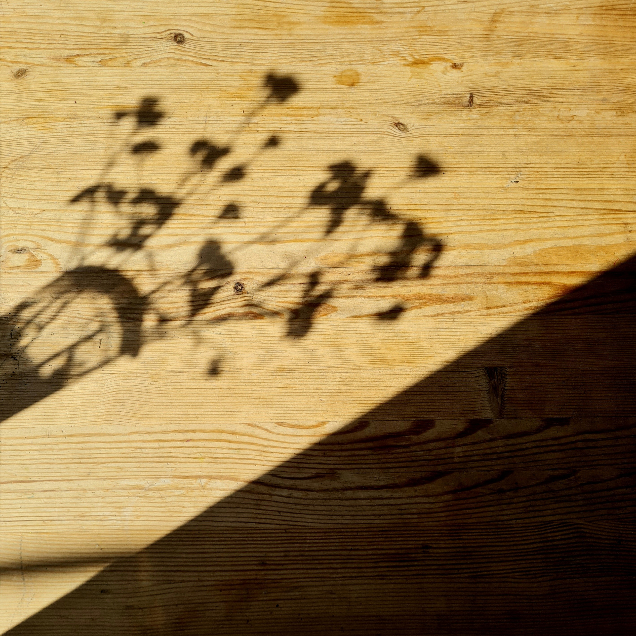 И вокруг меня. Портретный и концертный фотограф в Санкт-Петербурге Егор Телятников