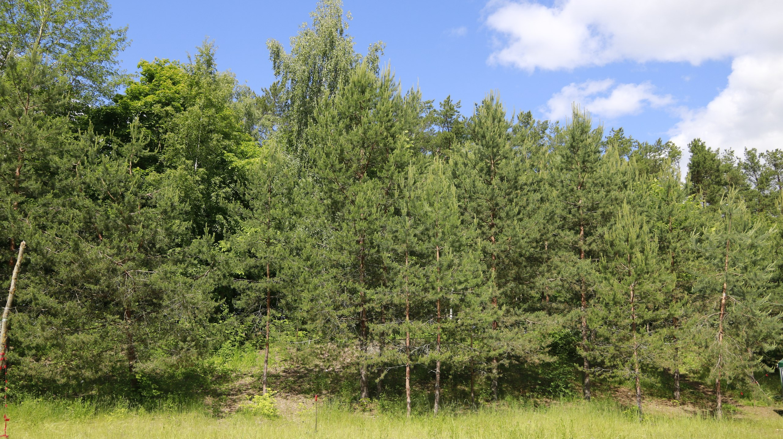 Походная романтика 22! Новый год и не тра-та-та-та… | 23-25.06.2017. Галерея Фантим