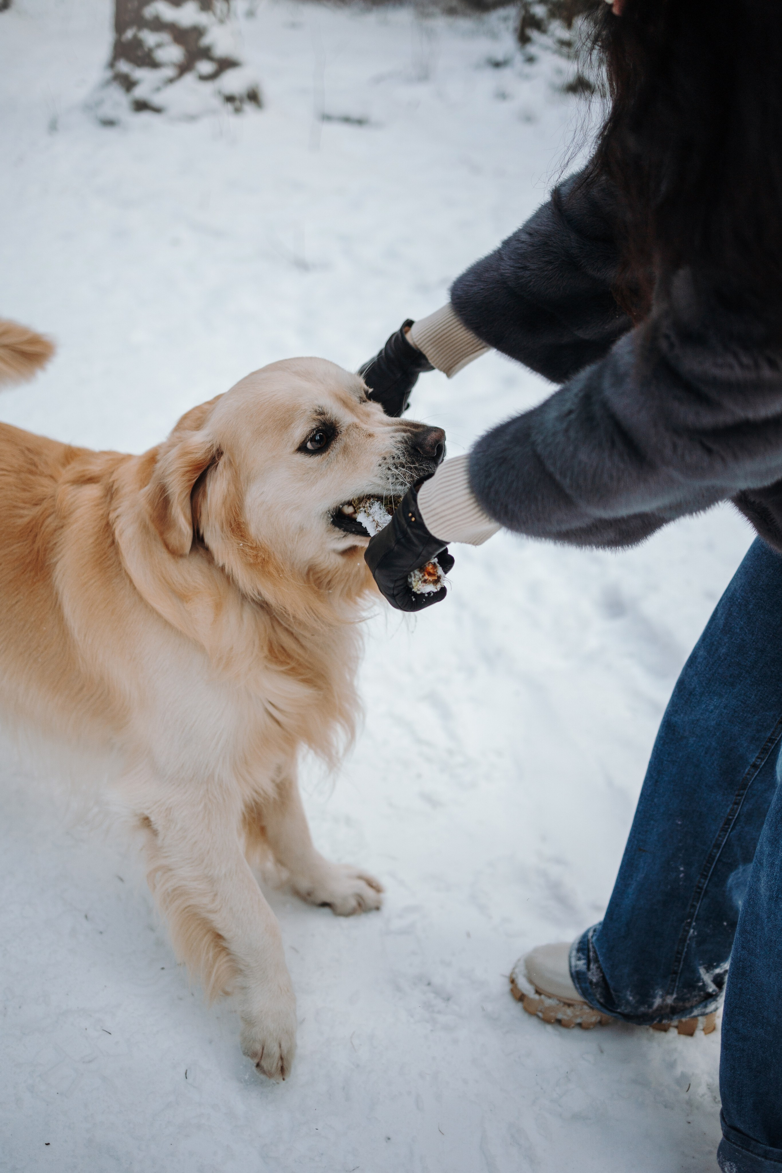 Вика и Лёва. Фотограф — Анималист | Санкт-Петербург