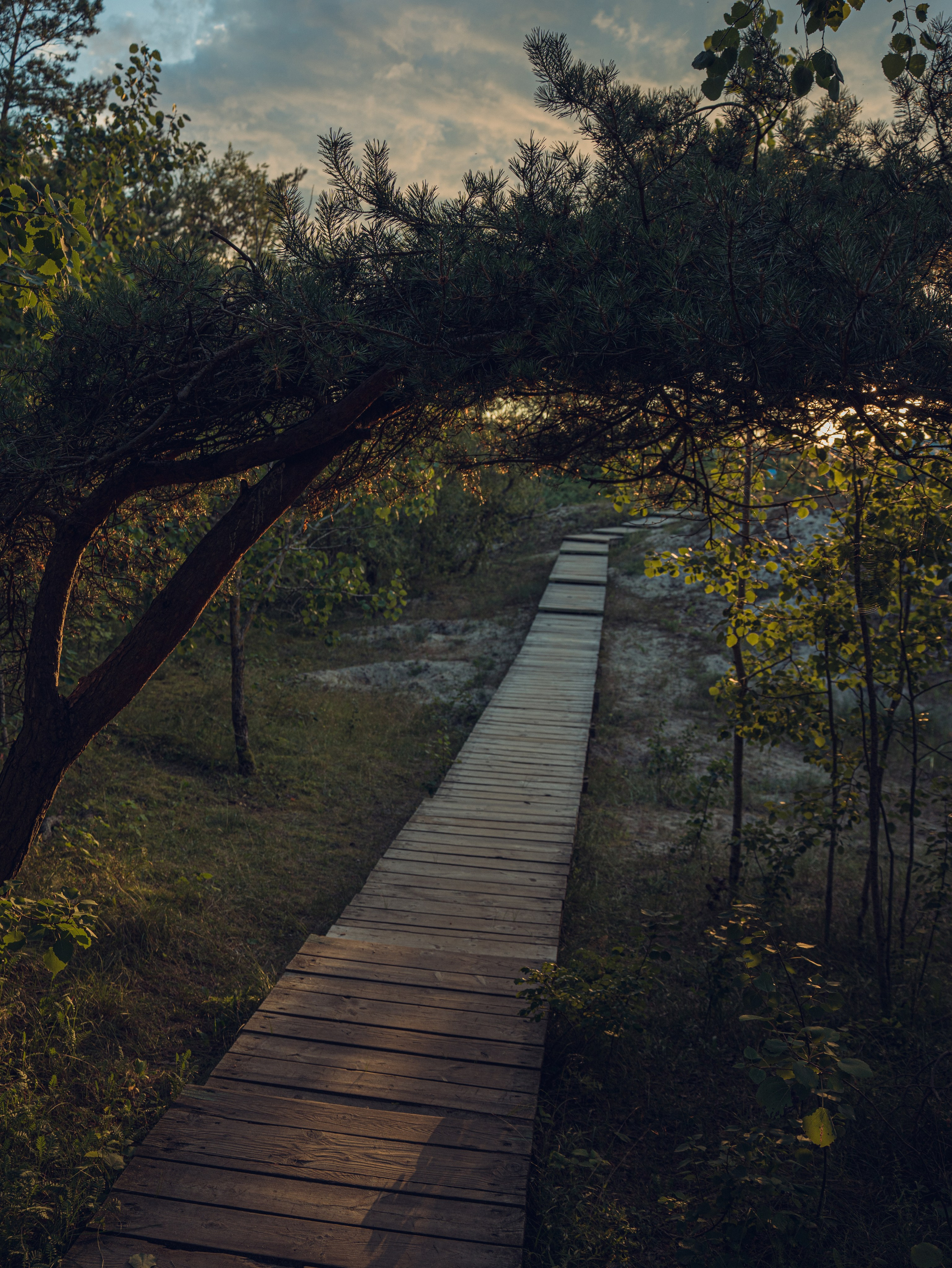 Калининградский трип друзей. Фотограф Мирослава Ряполова, Москва