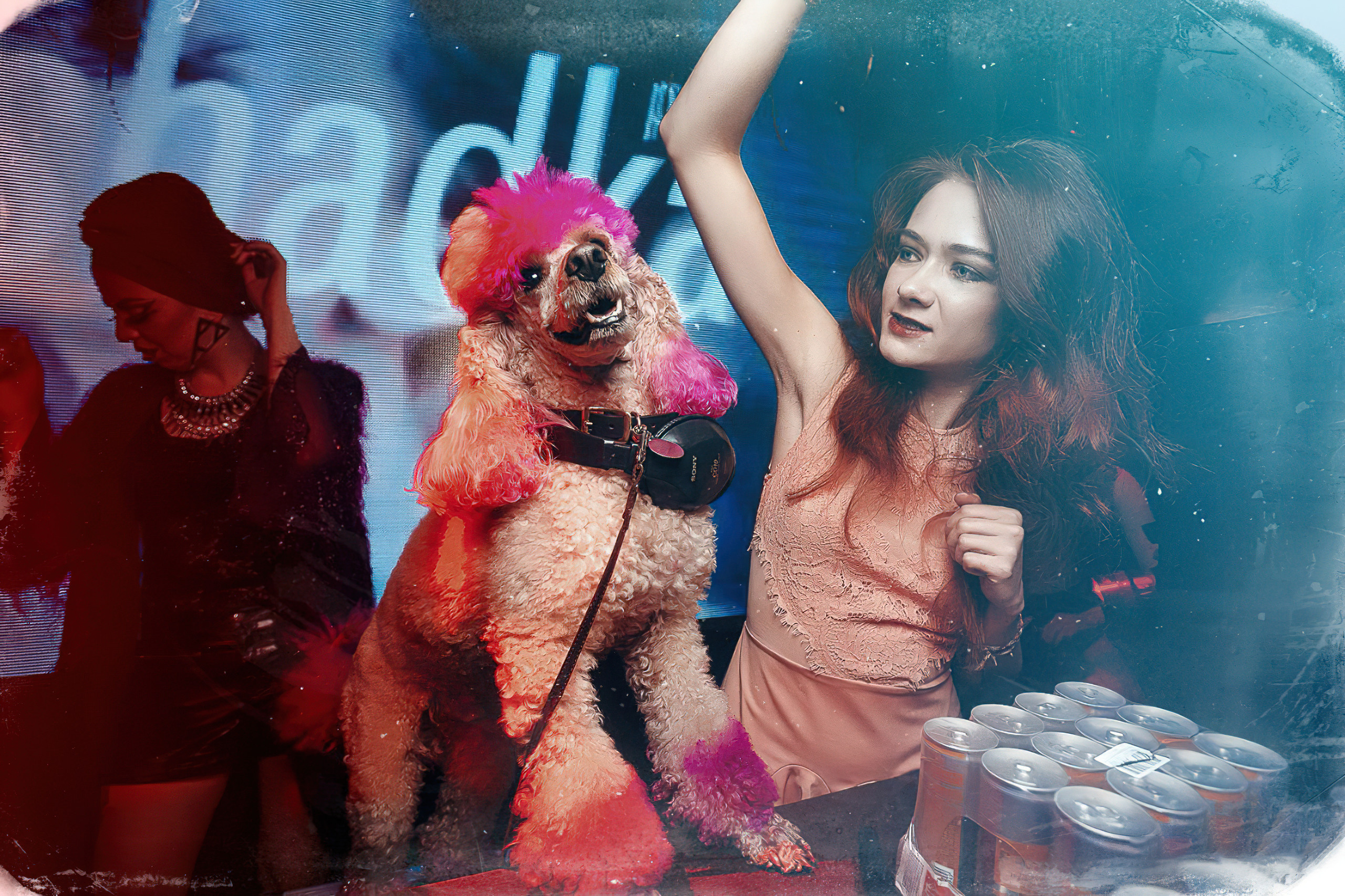 Лошадка пати девушка с собачкой репортаж