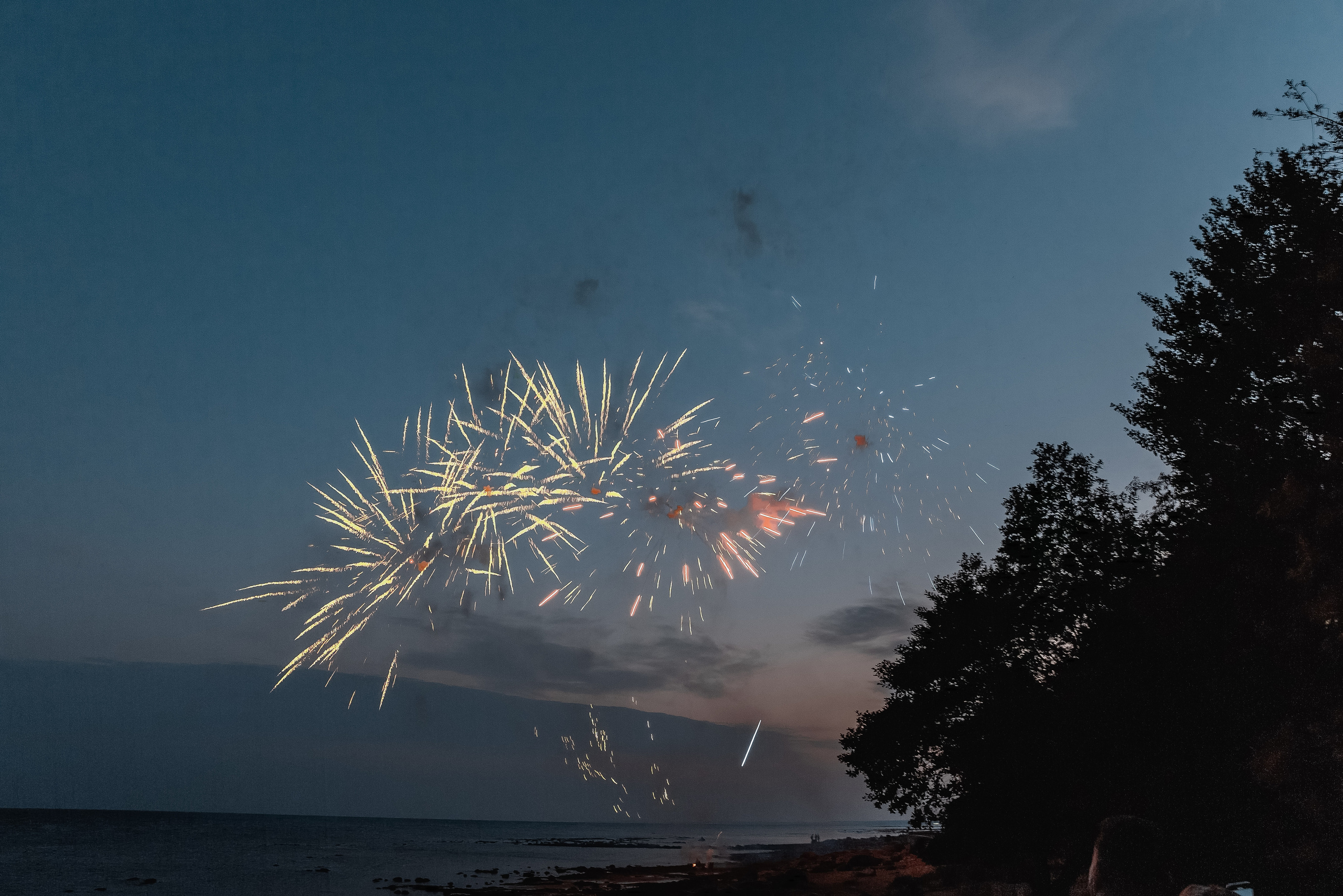 Анастасия и Максим