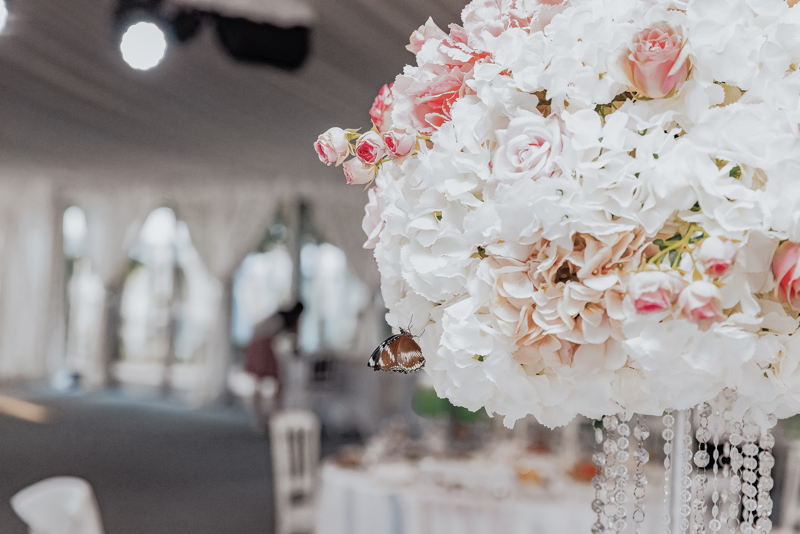 Анастасия и Максим