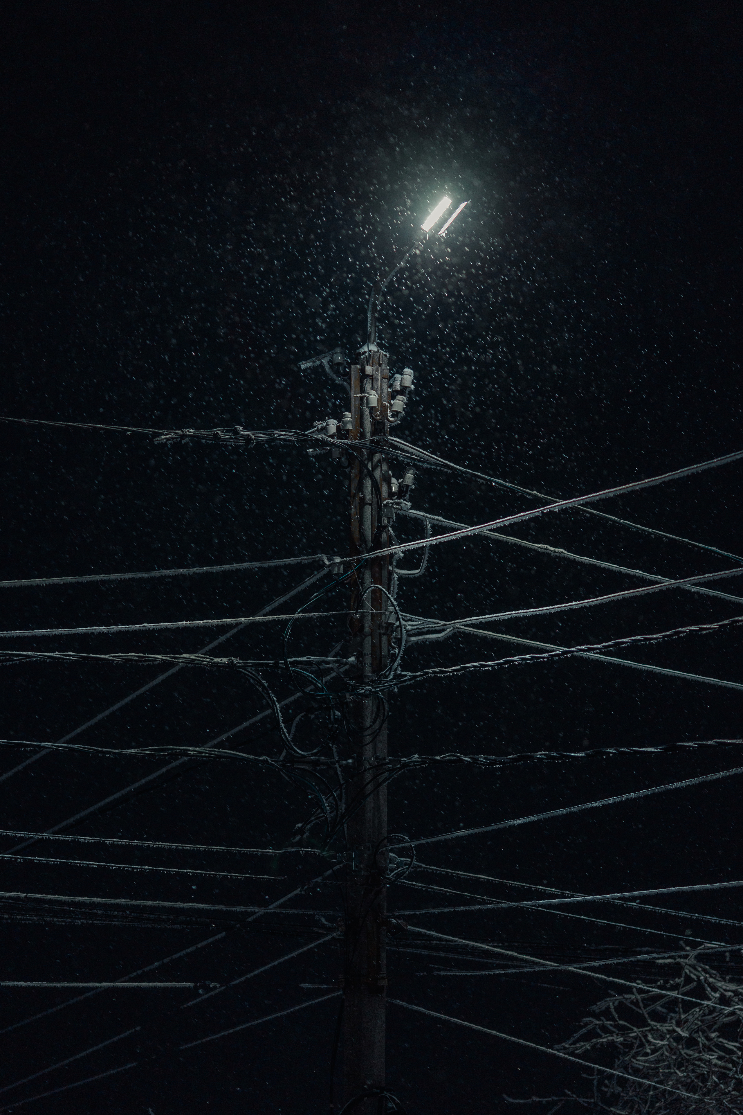 Пейзажный фотограф СПб, Санкт-Петербург и Москва