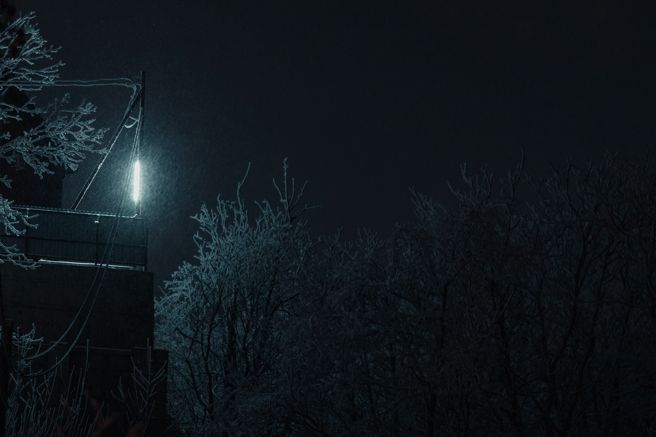 Пейзажный фотограф СПб, Санкт-Петербург и Москва