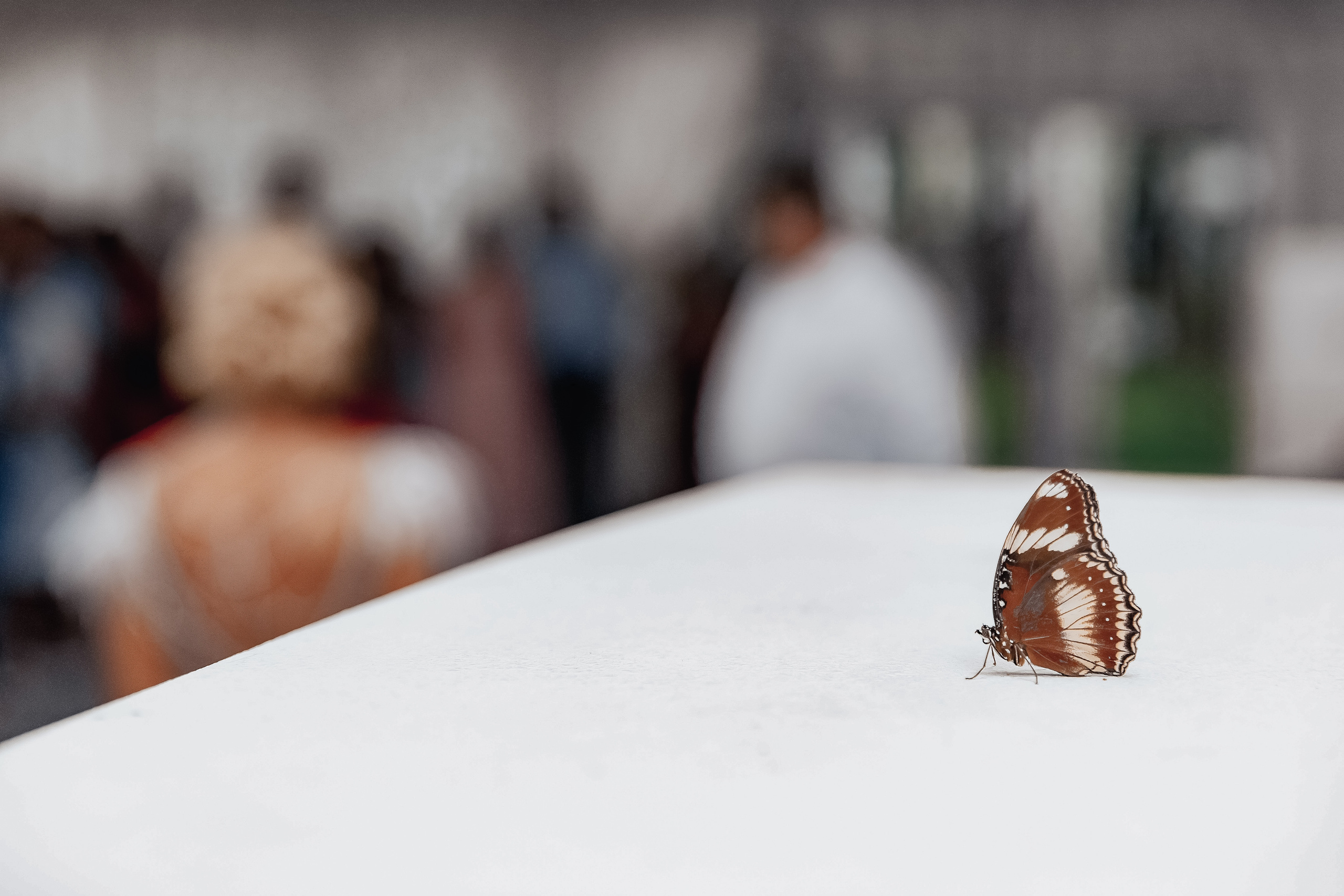 Анастасия и Максим